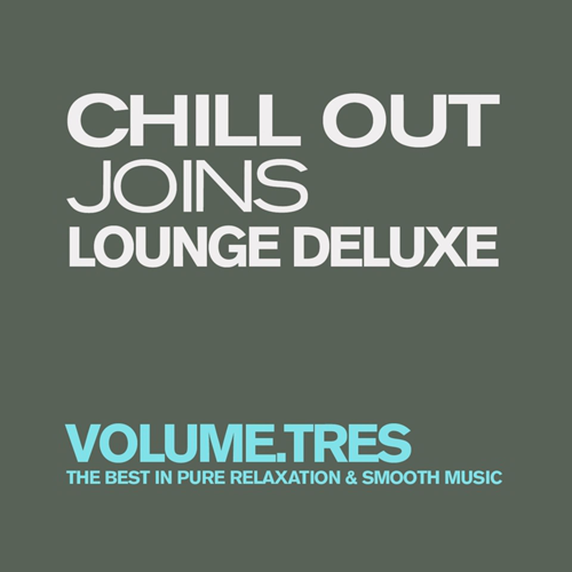 Постер альбома Chill Out Joins Lounge Deluxe, Vol. 3