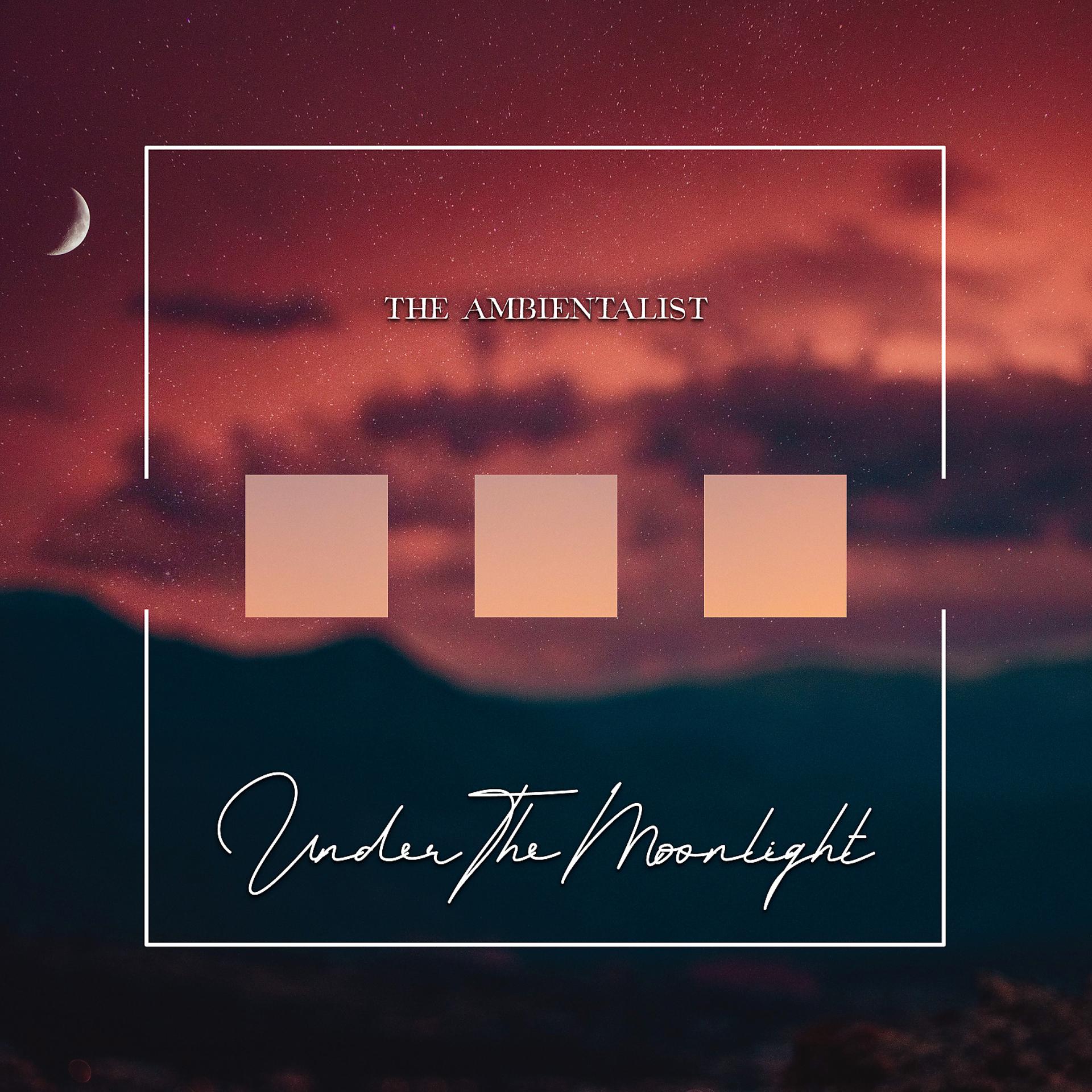 Постер альбома Under The Moonlight