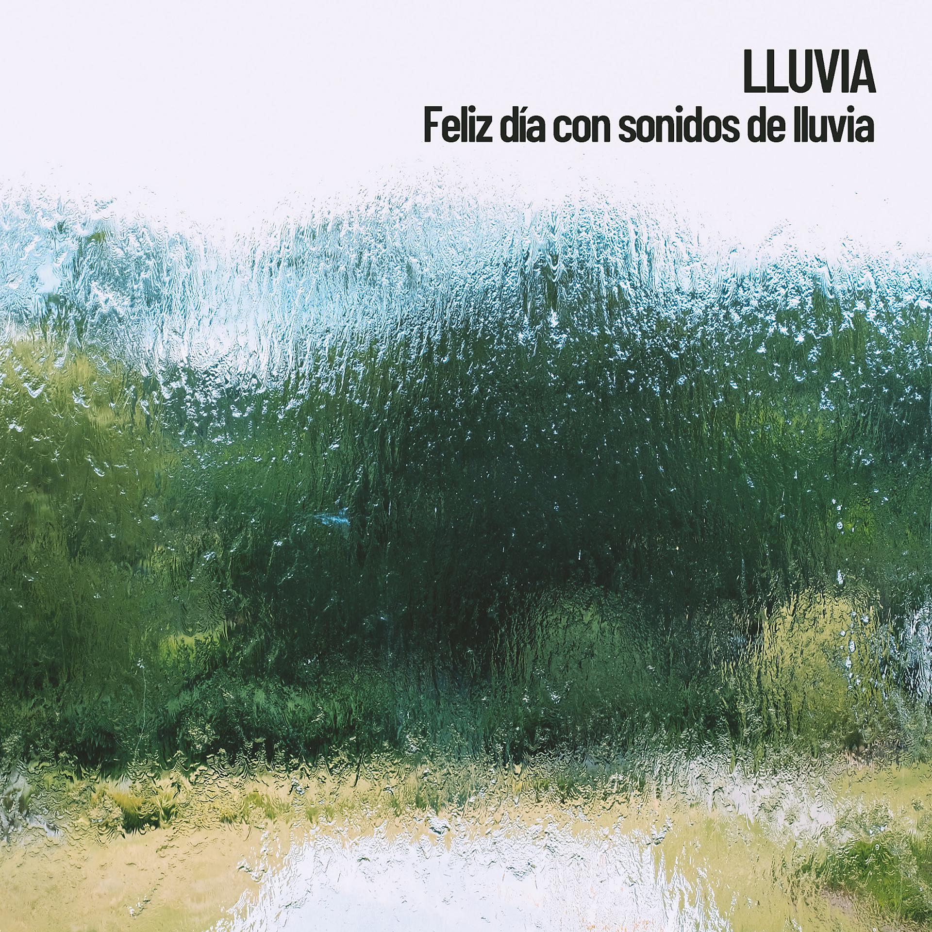 Постер альбома Lluvia: Feliz día con sonidos de lluvia