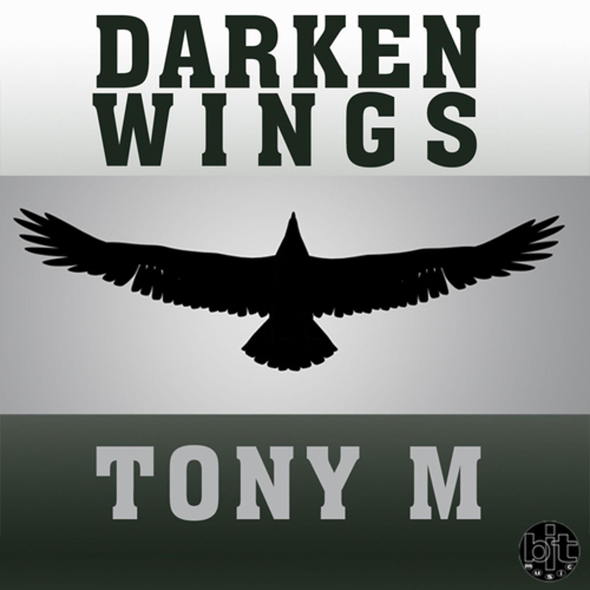 Постер альбома Darken Wings