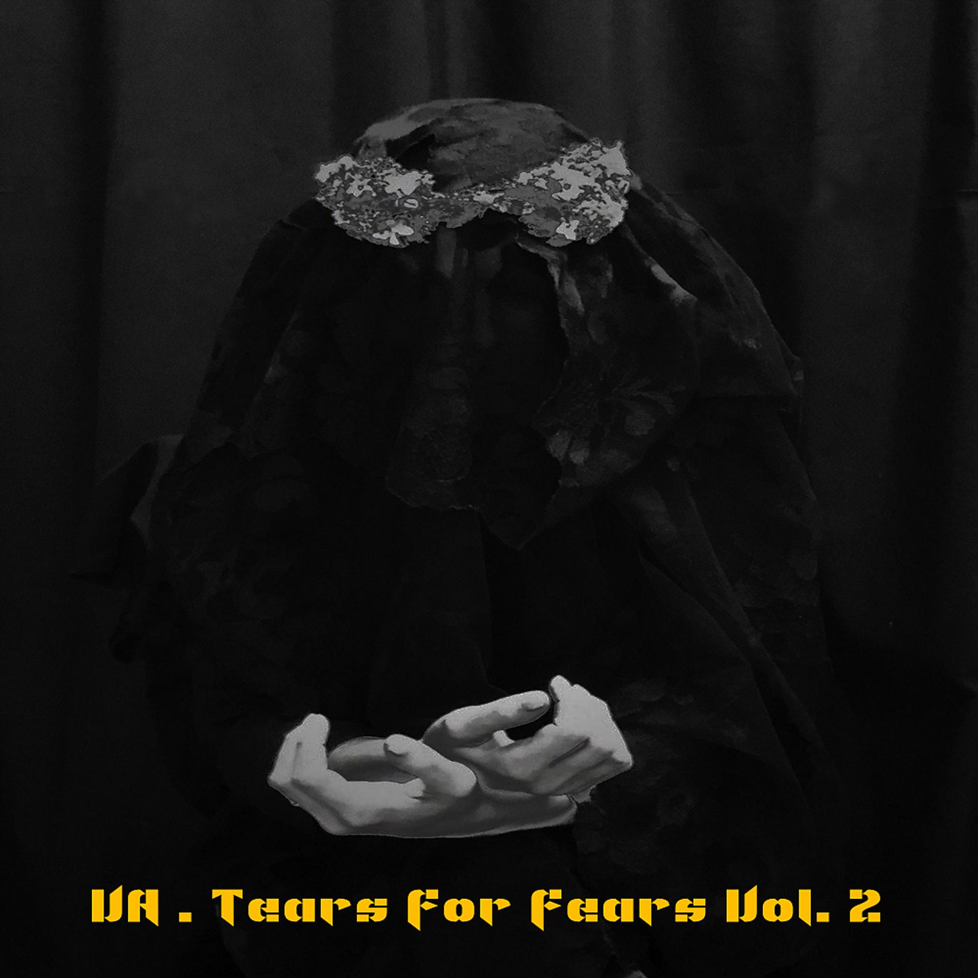 Постер альбома Tears for Fears Vol. 2