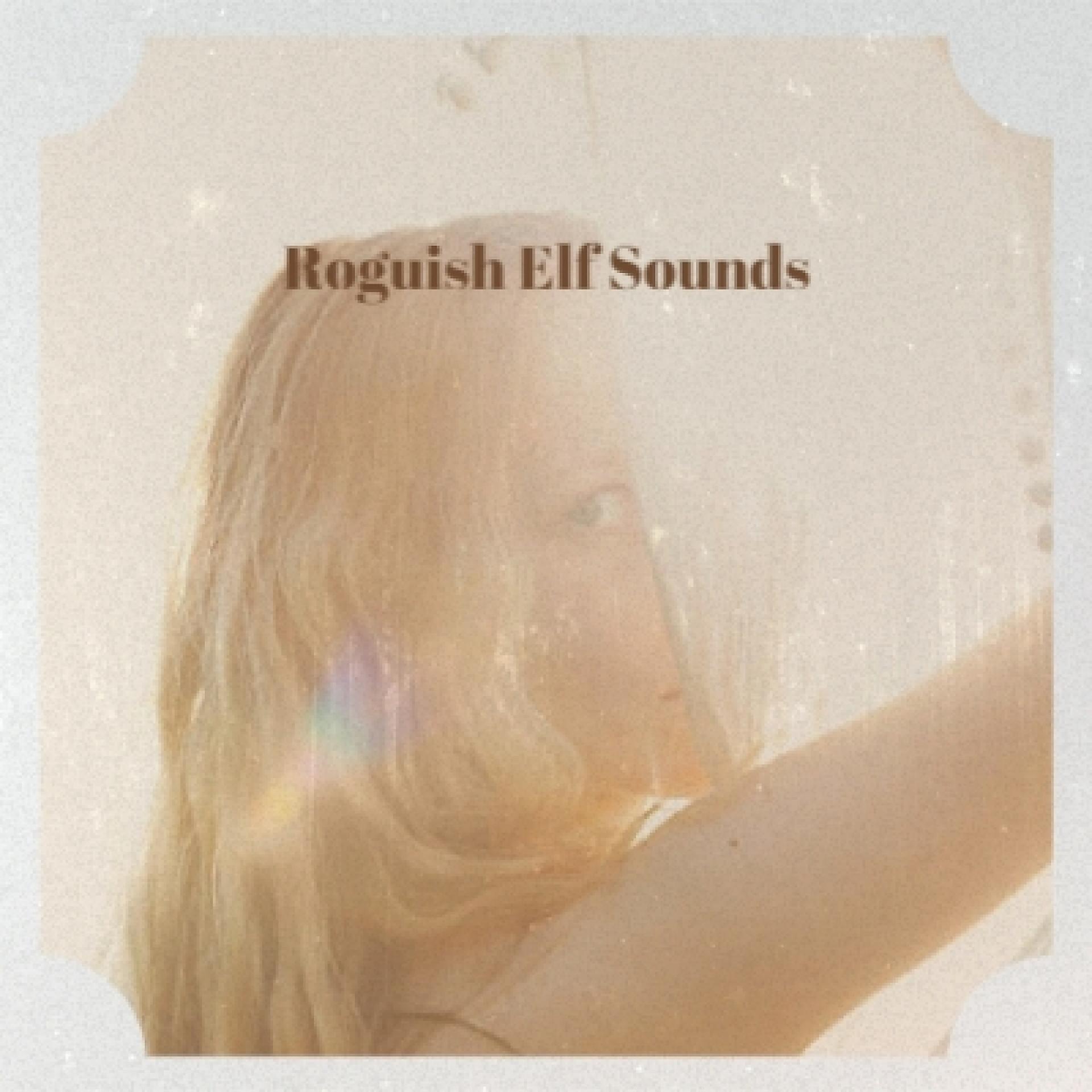 Постер альбома Roguish Elf Sounds
