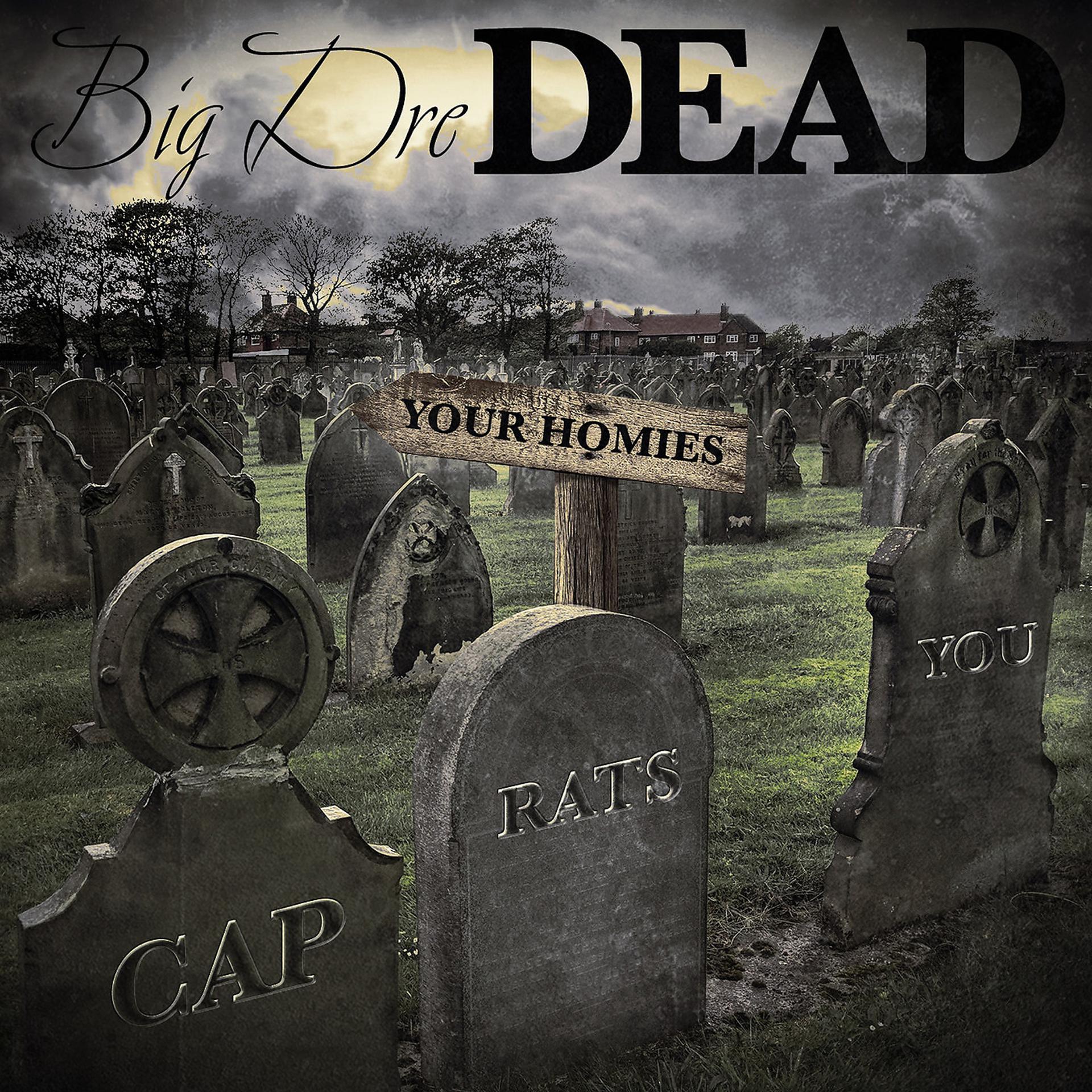 Постер альбома Dead: Your Homies, Cap, Rats, You