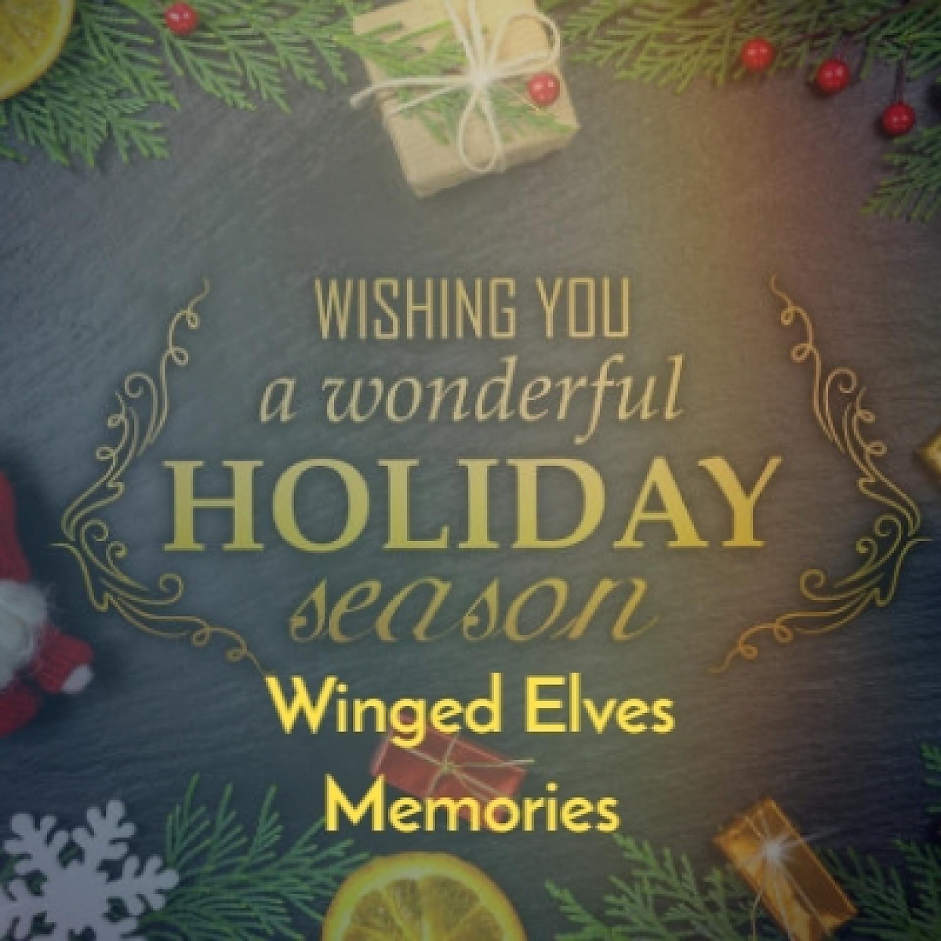 Постер альбома Winged Elves Memories