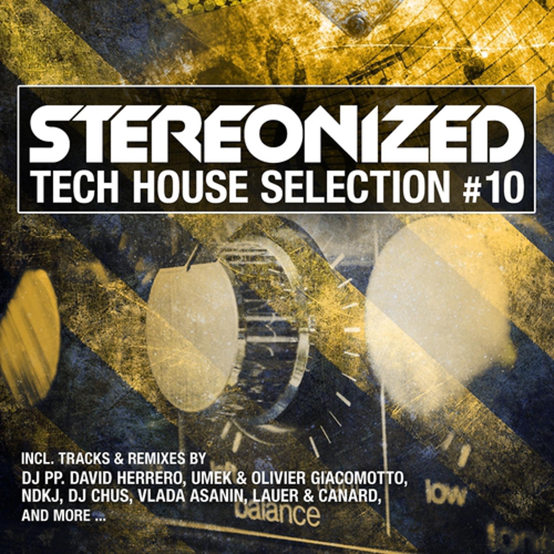 Постер альбома Stereonized - Tech House Selection, Vol. 10