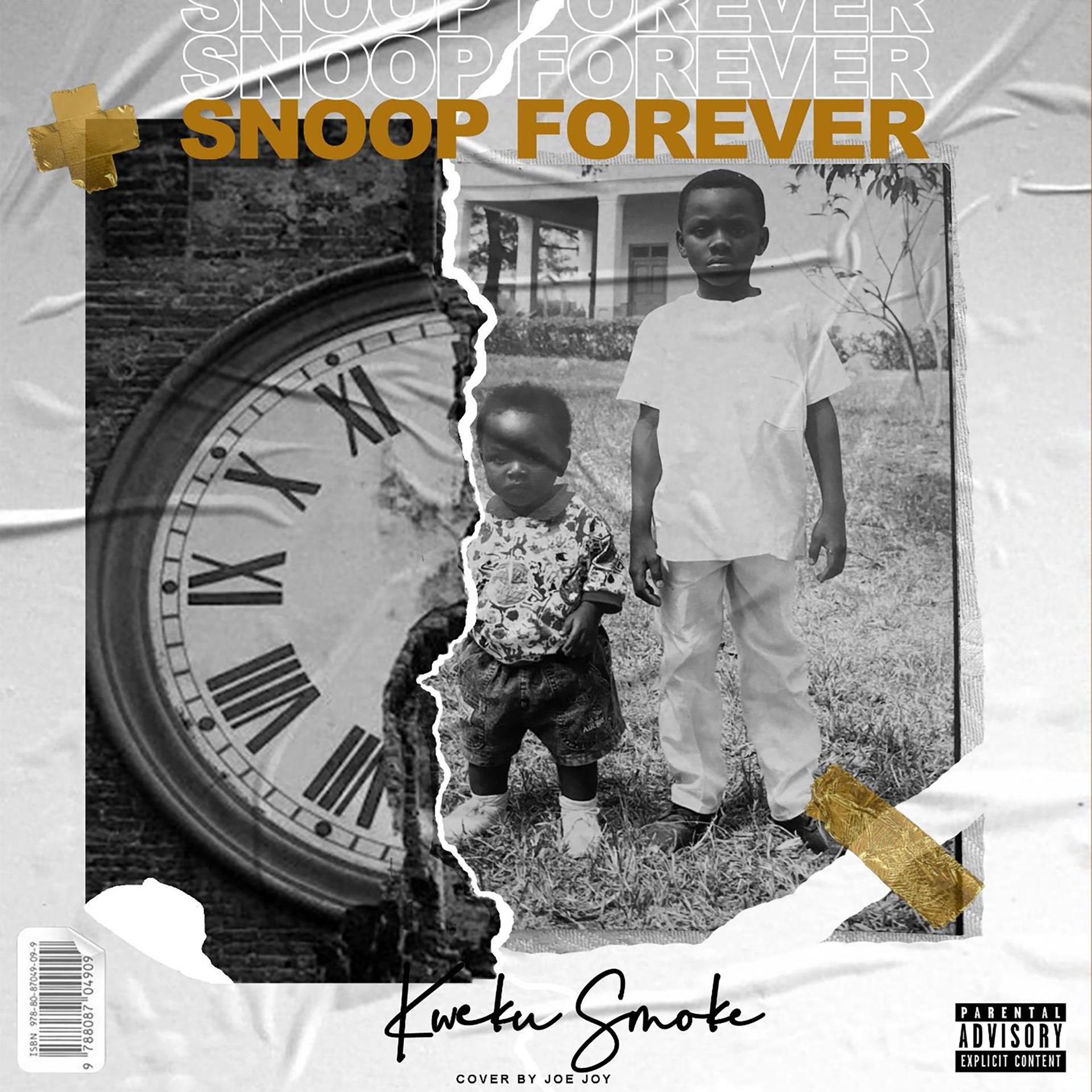 Постер альбома Snoop Forever