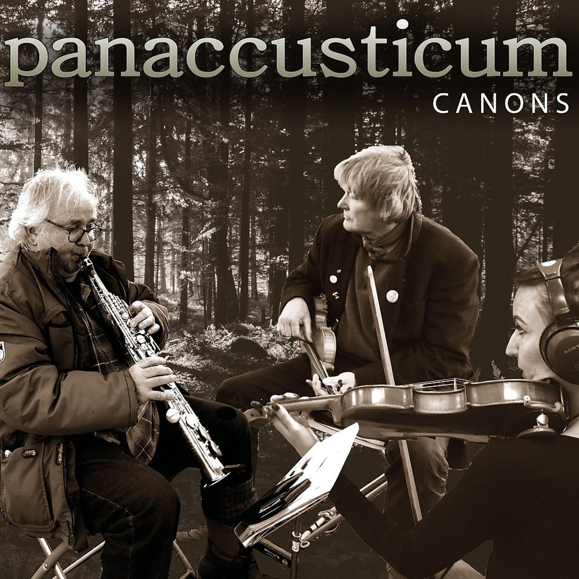 Постер альбома Canons