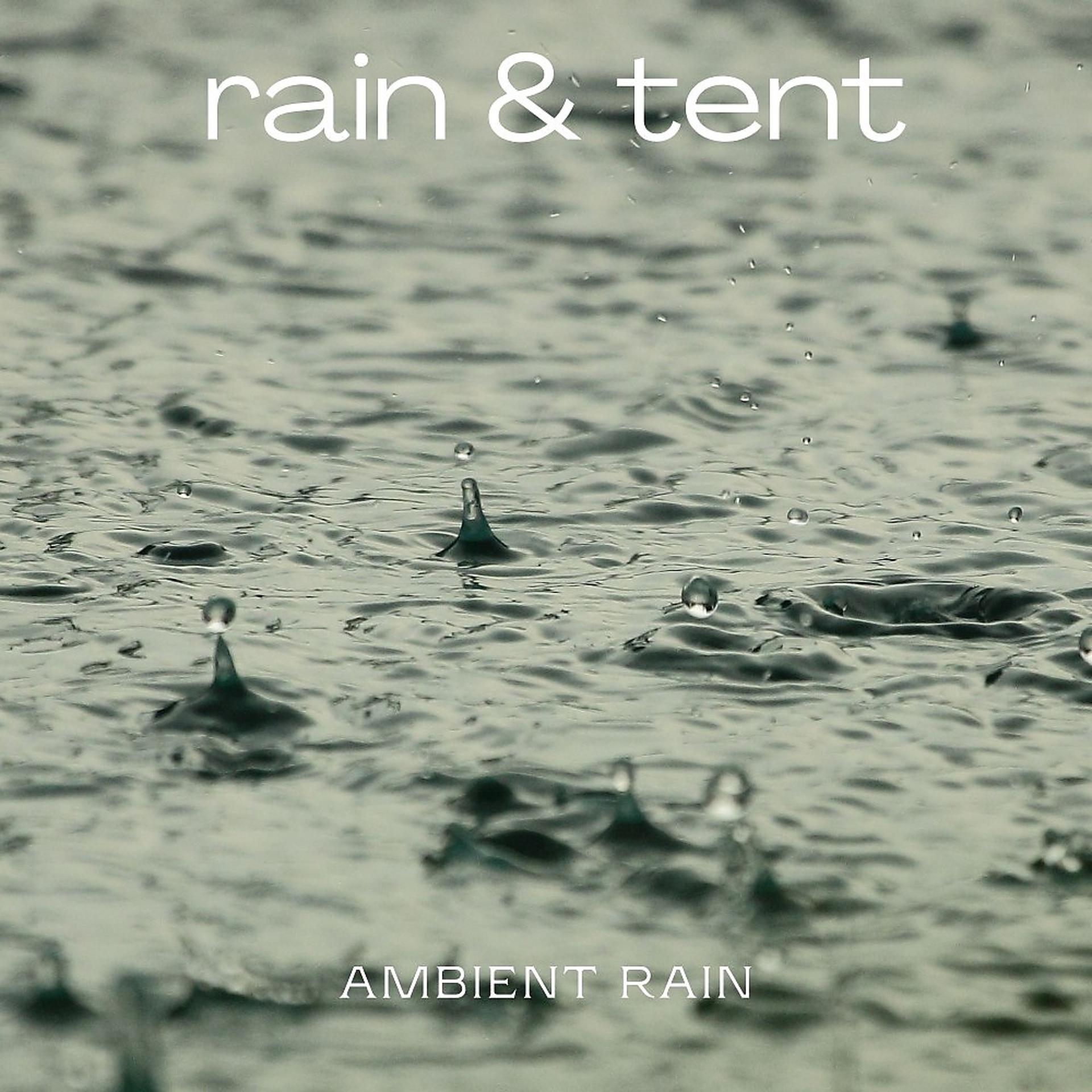Постер альбома Ambient Rain