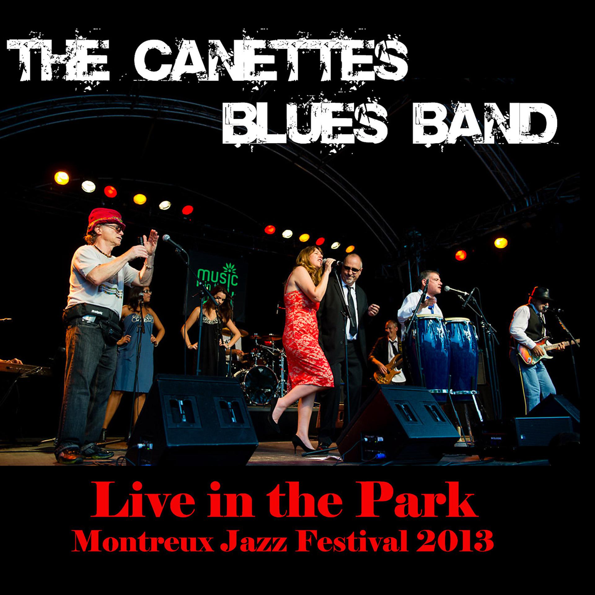 Постер альбома Montreux Jazz Festival 2013 (Live in the Park)