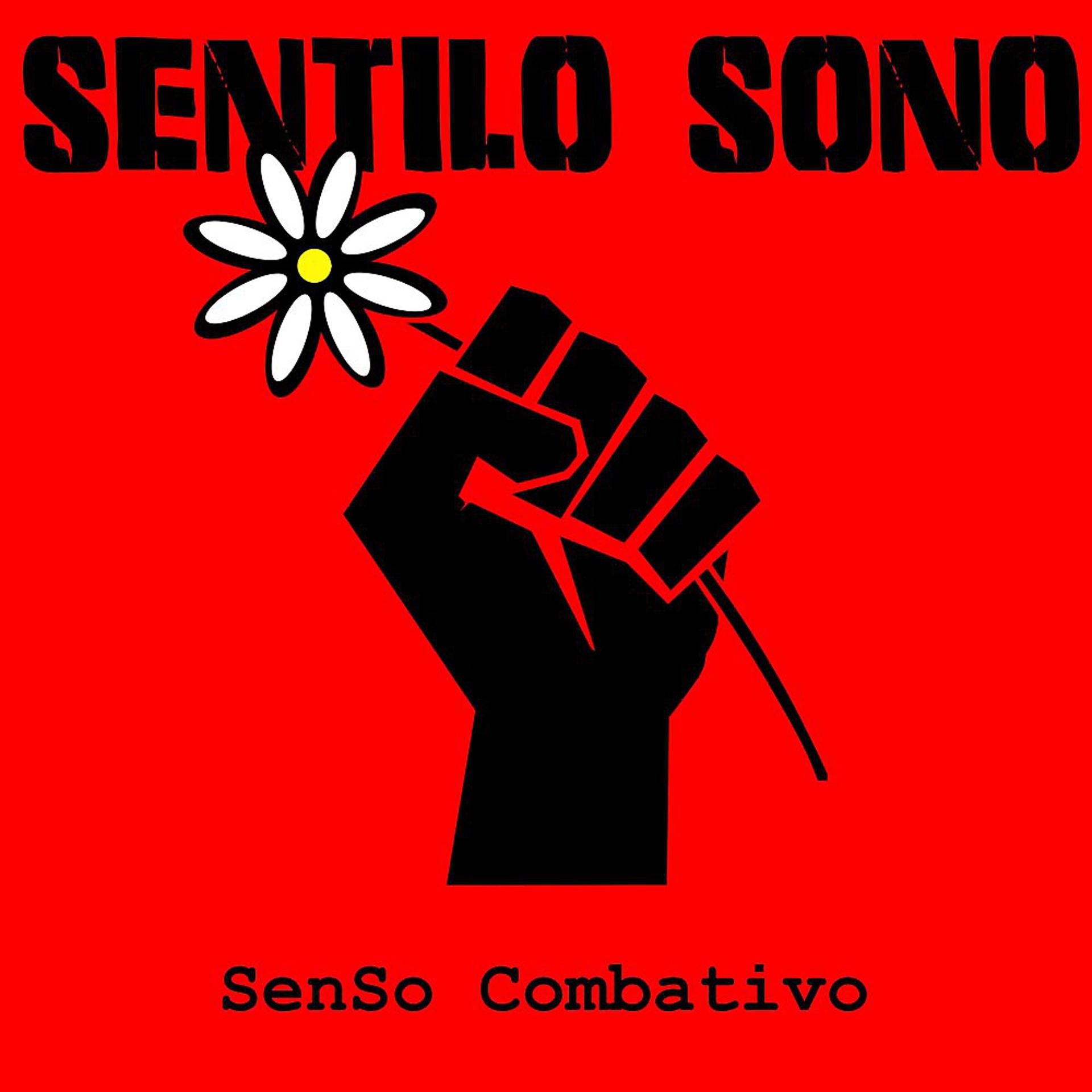 Постер альбома Senso Combativo