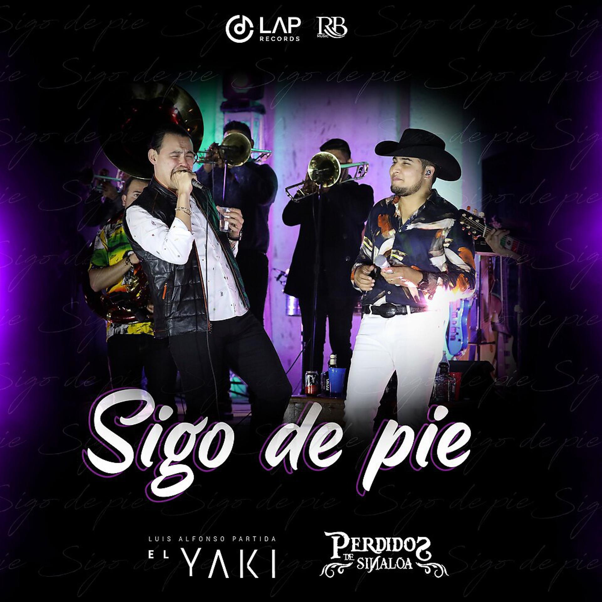 Постер альбома Sigo de Pie