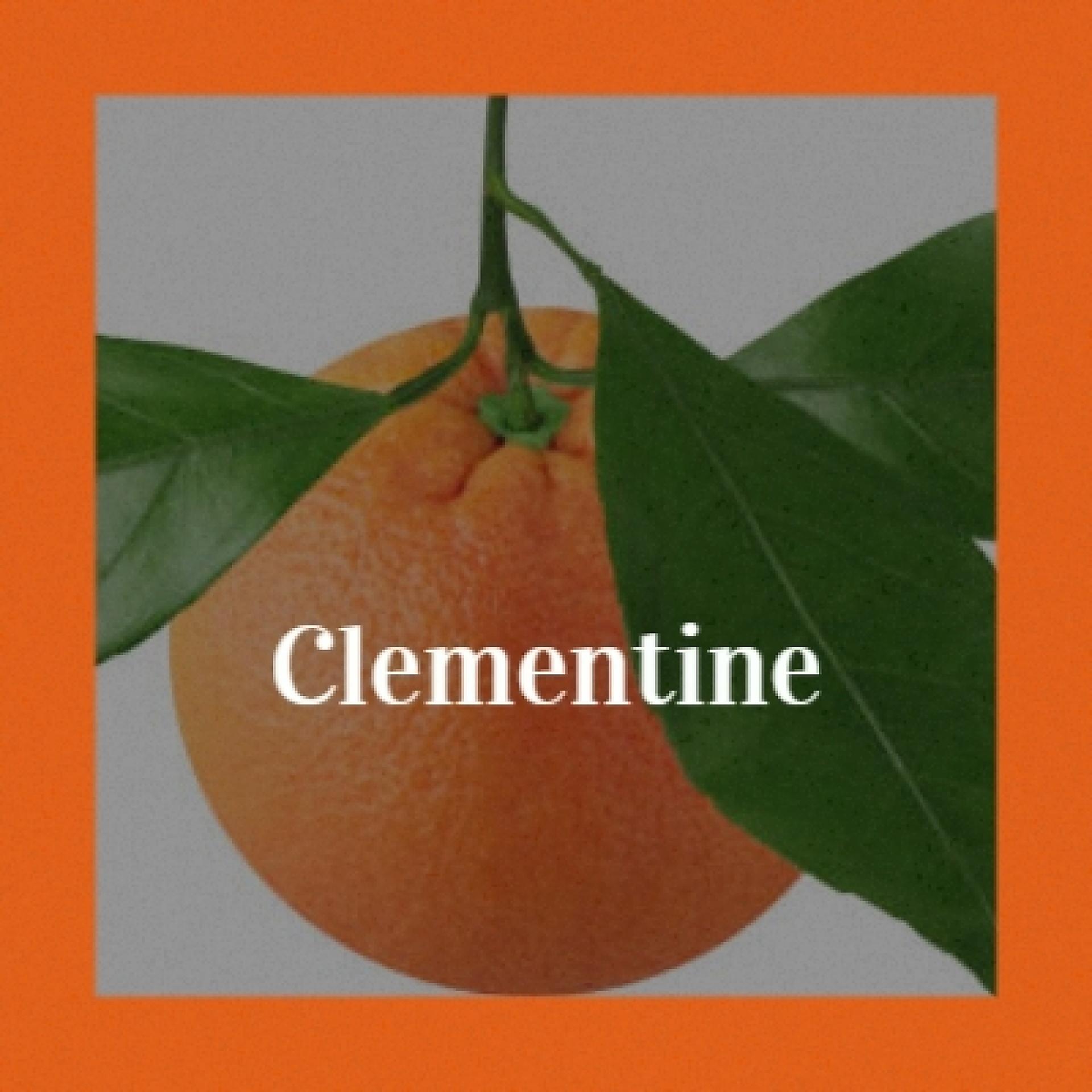 Постер альбома Clementine