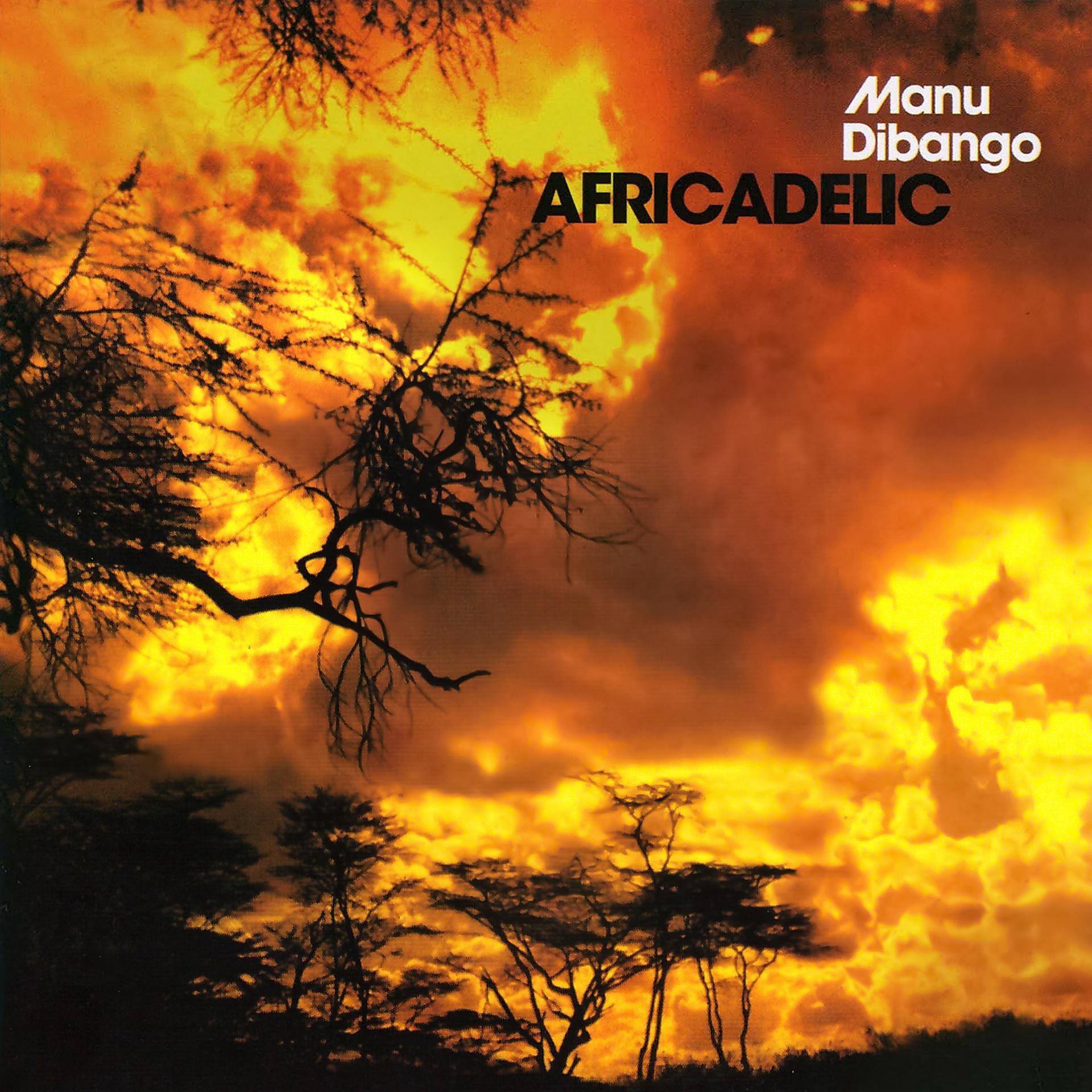 Постер альбома Africadelic