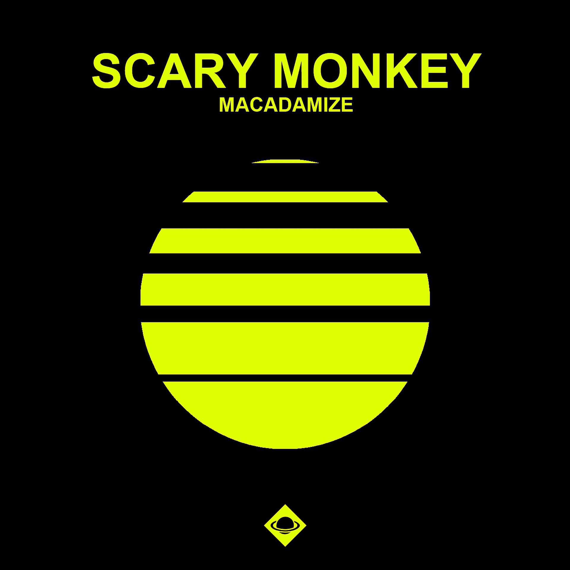 Постер альбома Macadamize