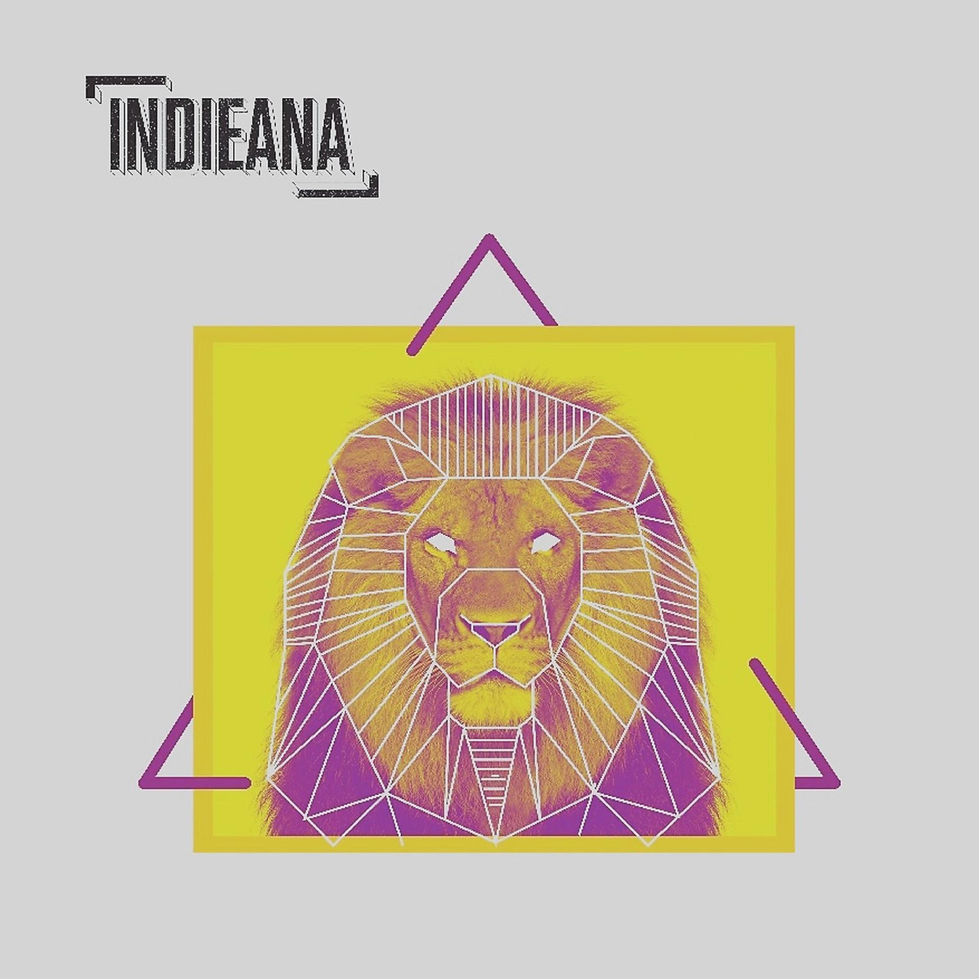Постер альбома Indieana