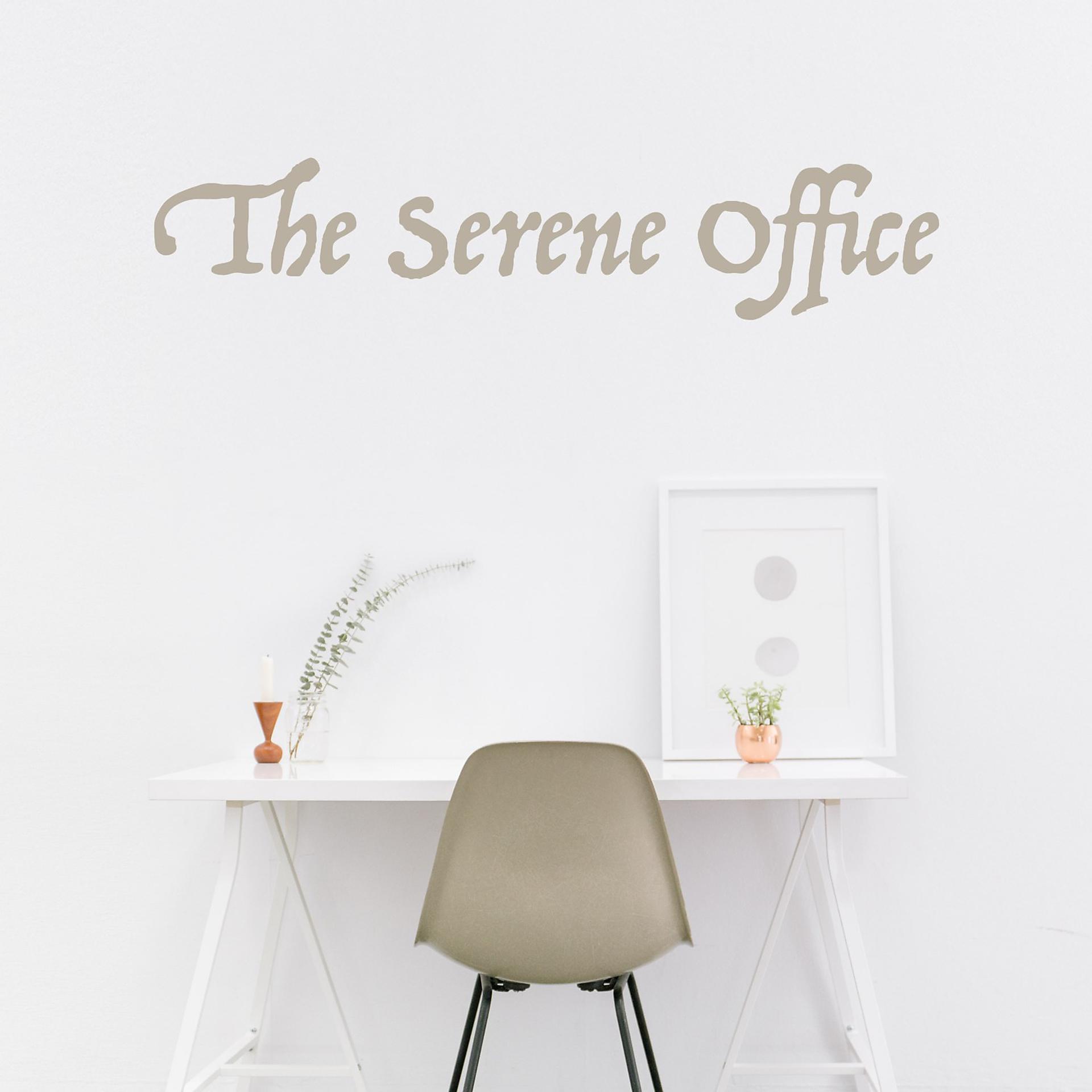 Постер альбома The Serene Office