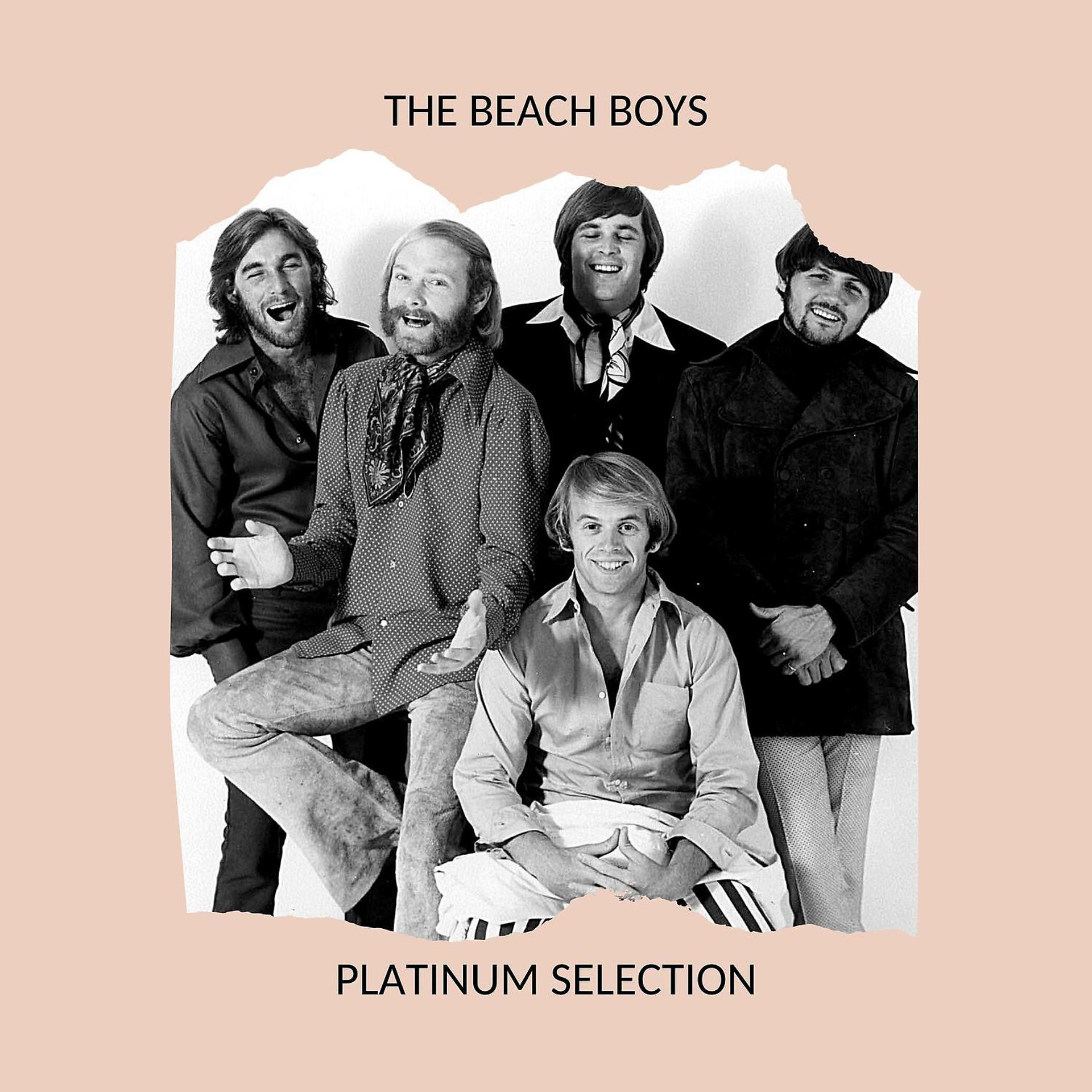 Постер альбома The Beach Boys - Platinum Selection