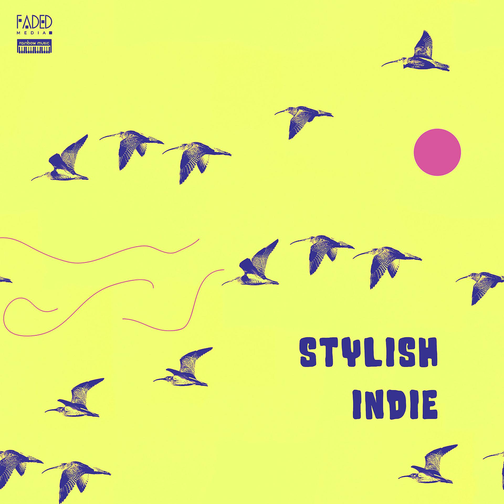 Постер альбома Stylish Indie