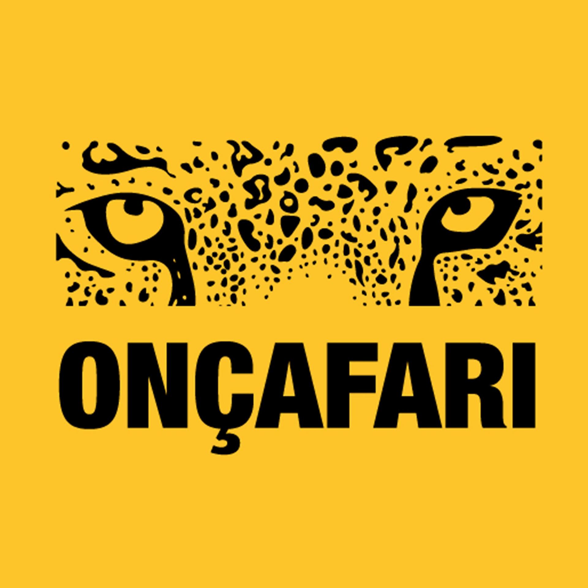 Постер альбома Onçafari