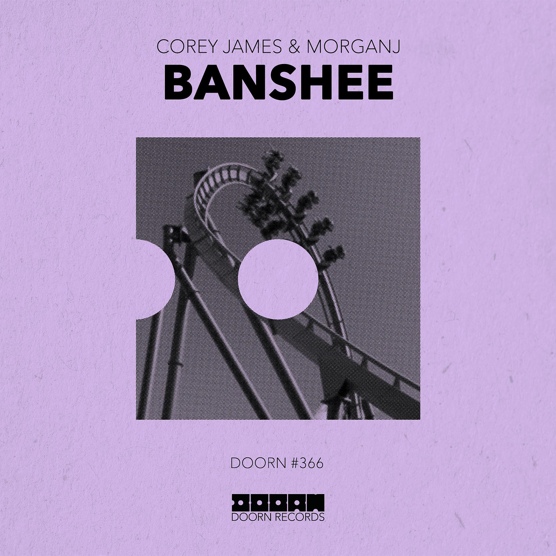 Постер альбома Banshee