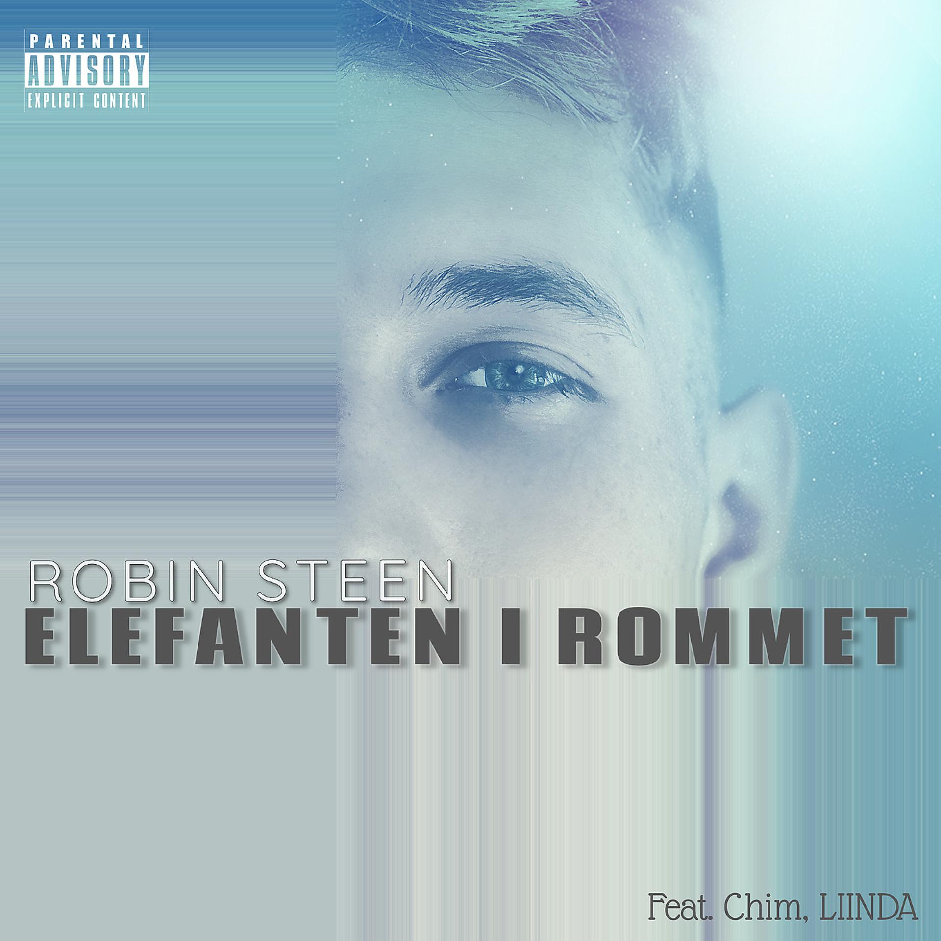 Постер альбома Elefanten I Rommet
