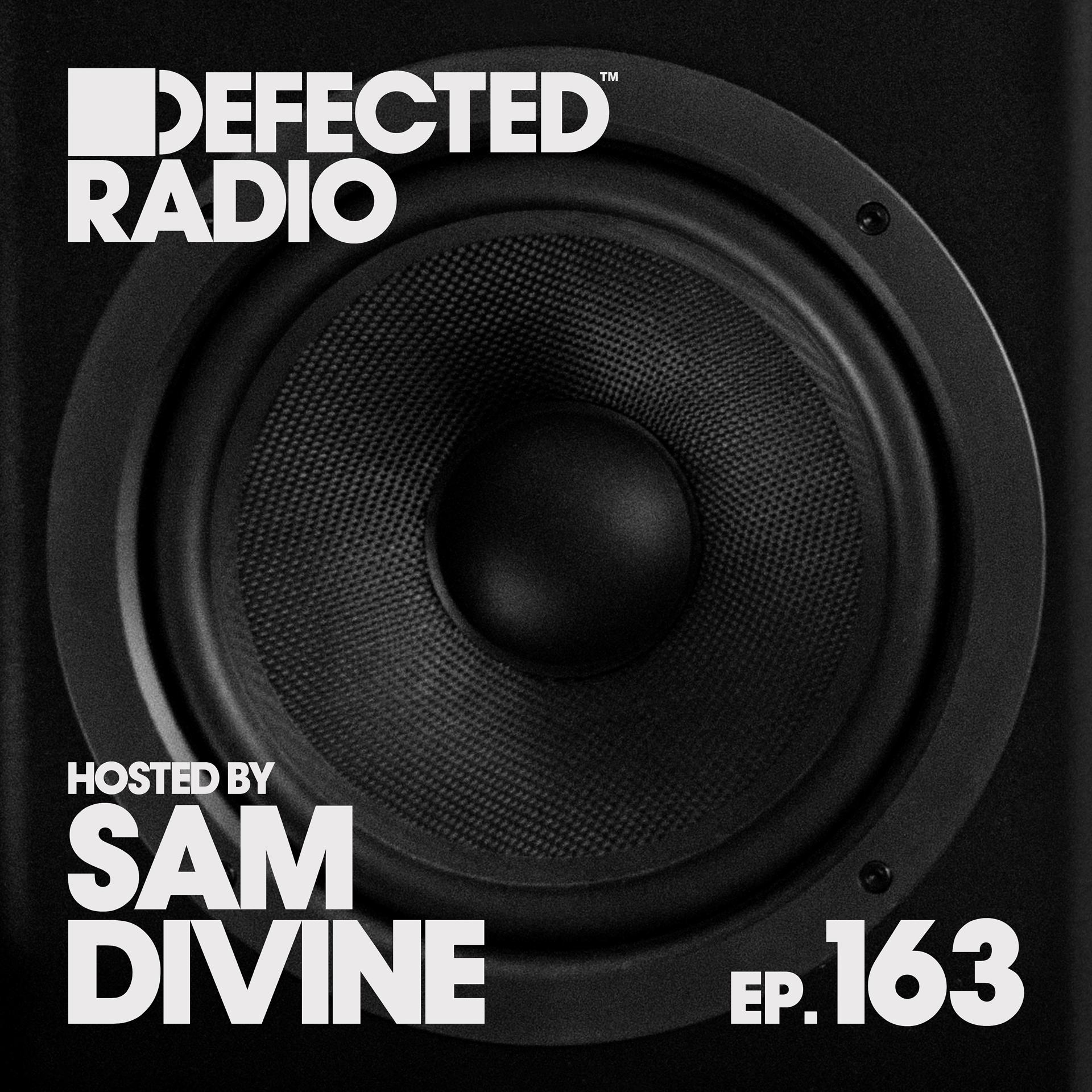 Постер альбома Defected Radio Episode 163 (hosted by Sam Divine) [DJ Mix]