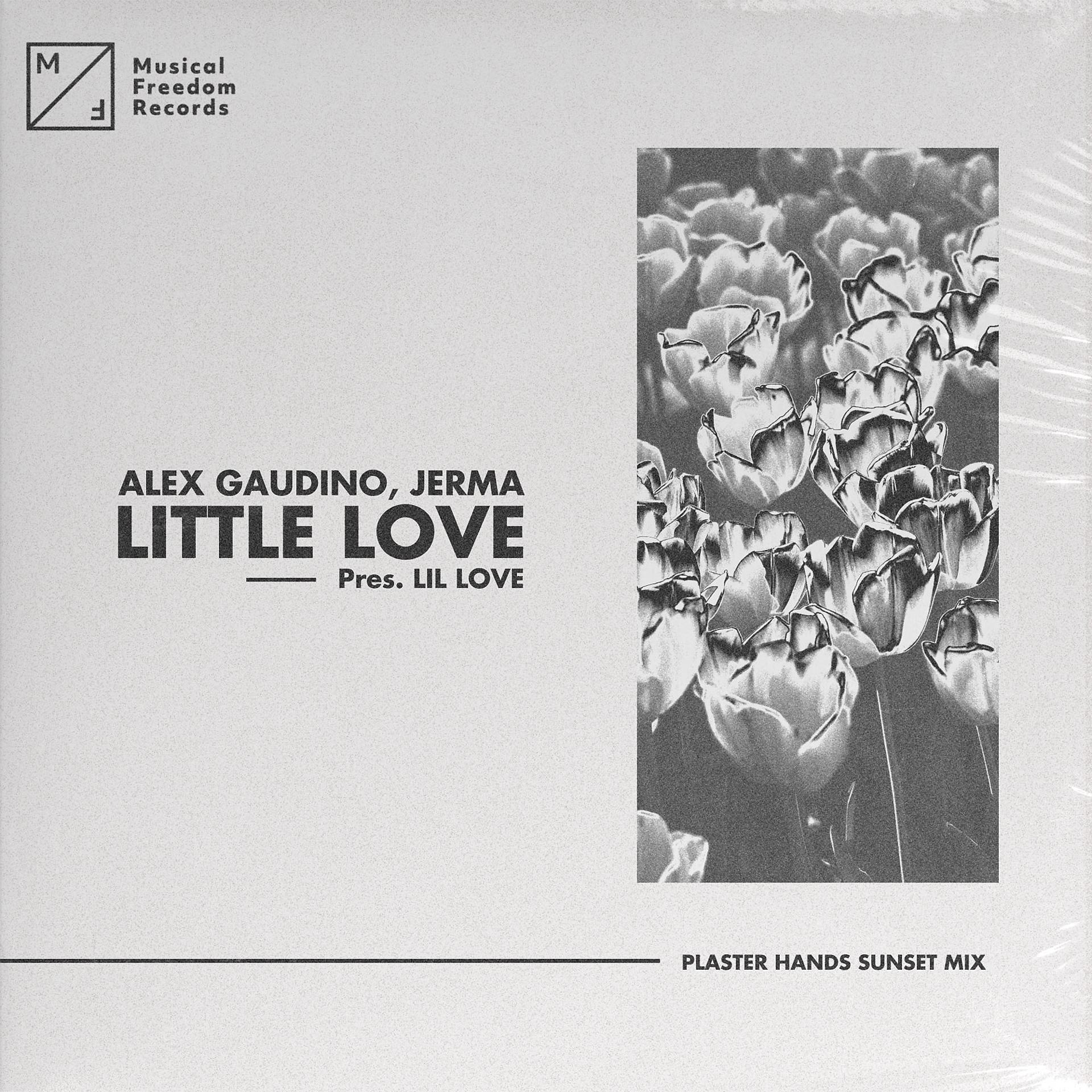 Постер альбома Little Love (pres. Lil' Love) [Plaster Hands Sunset Mix]