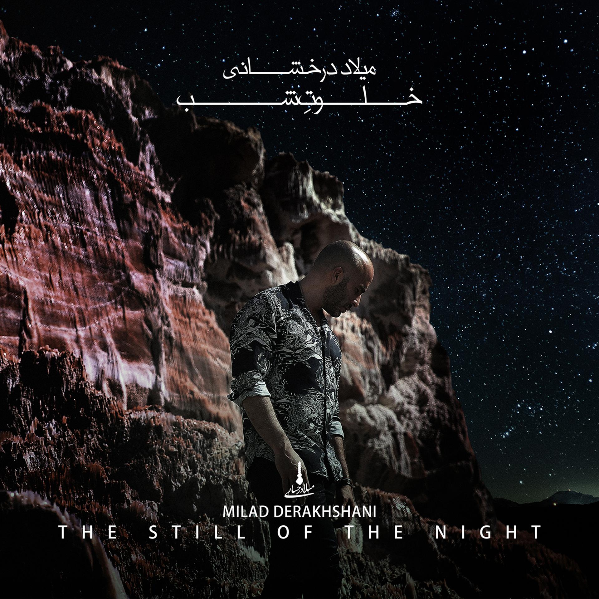Постер альбома The Still of the Night