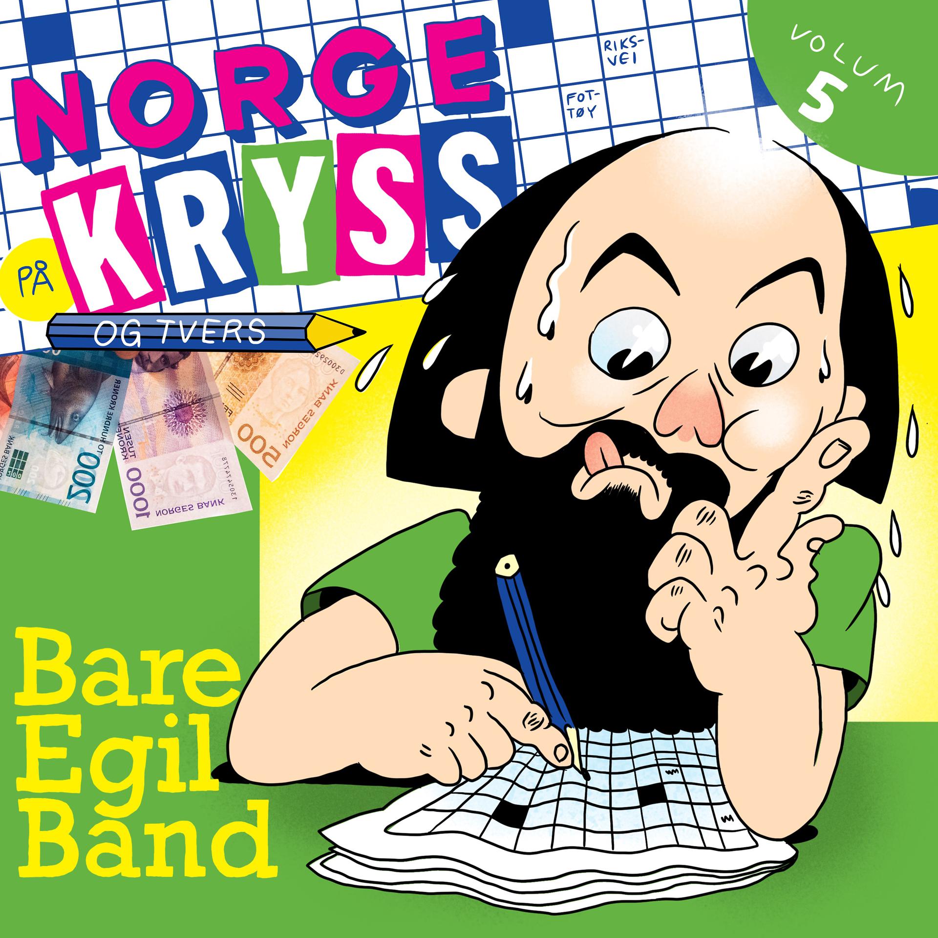 Постер альбома Norge på kryss og tvers volum 5