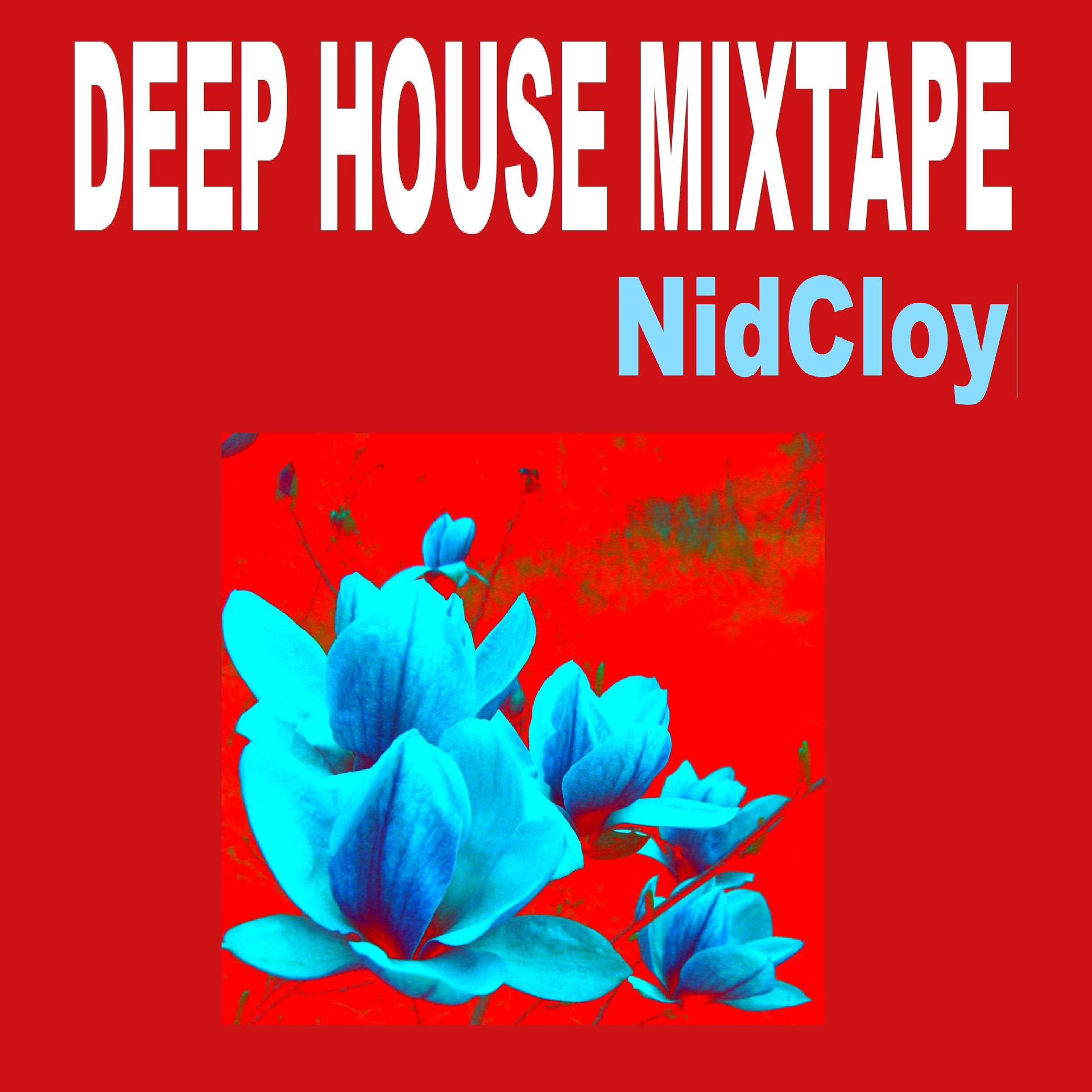 Постер альбома Deep House Mixtape