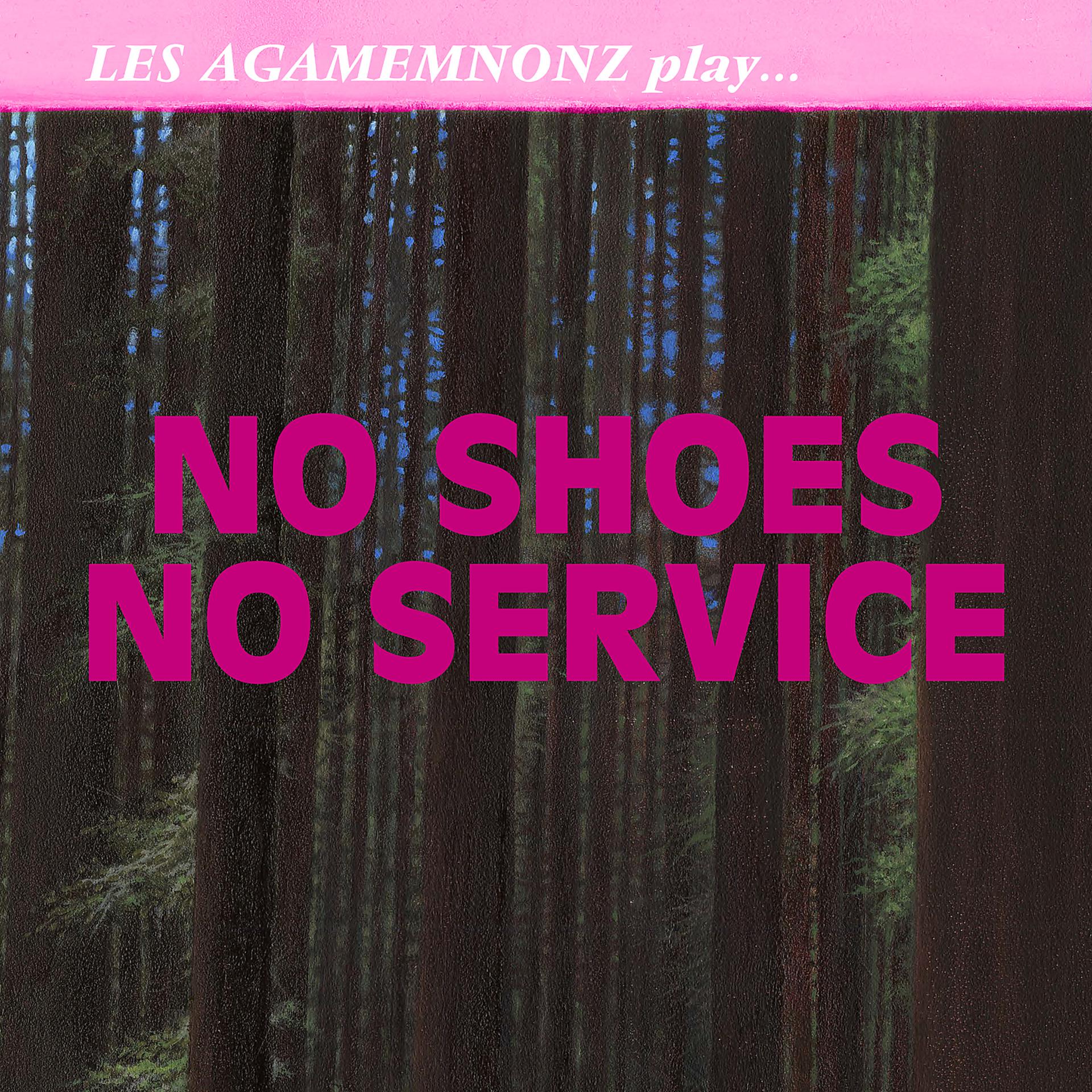 Постер альбома No Shoes No Service