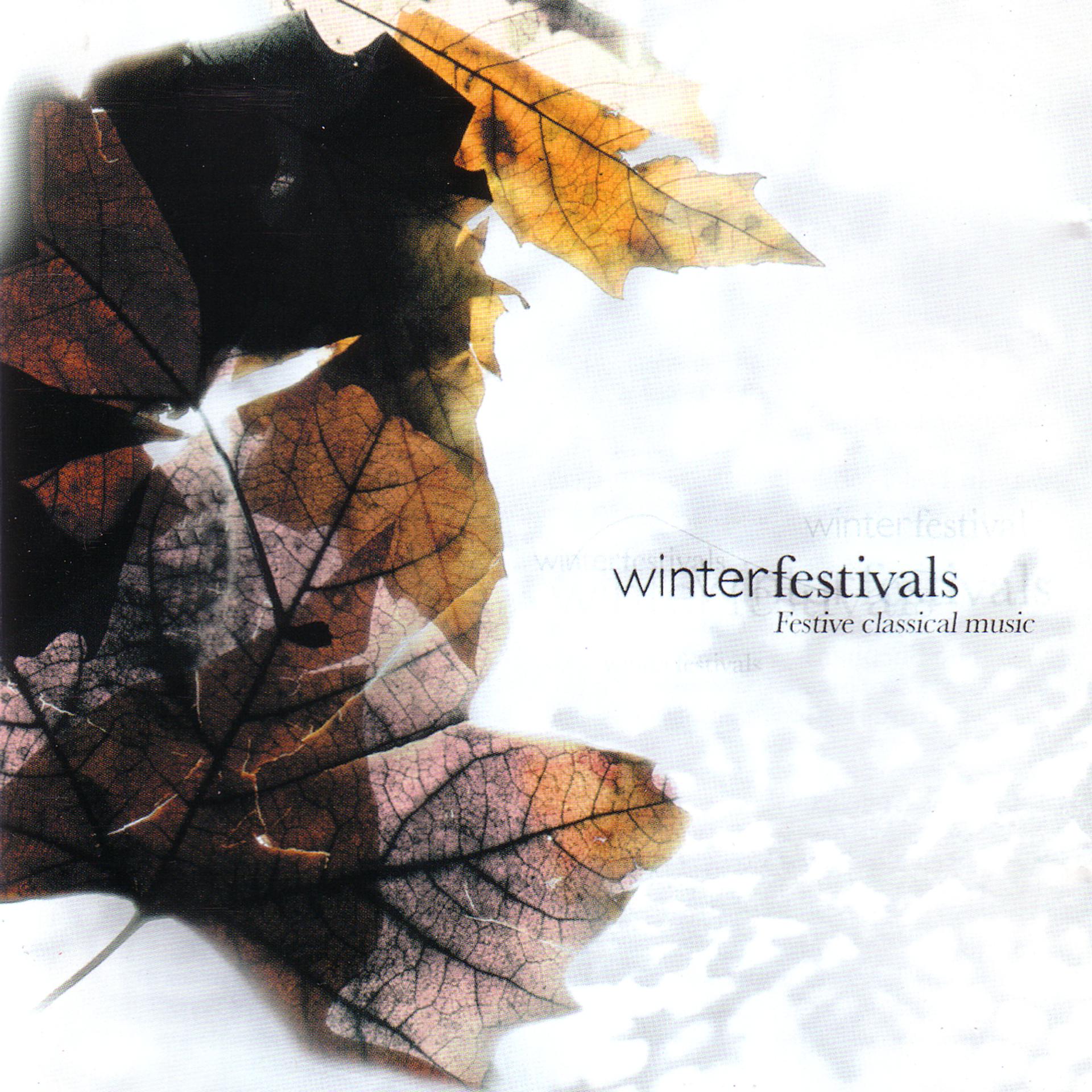 Постер альбома Winter Festivals