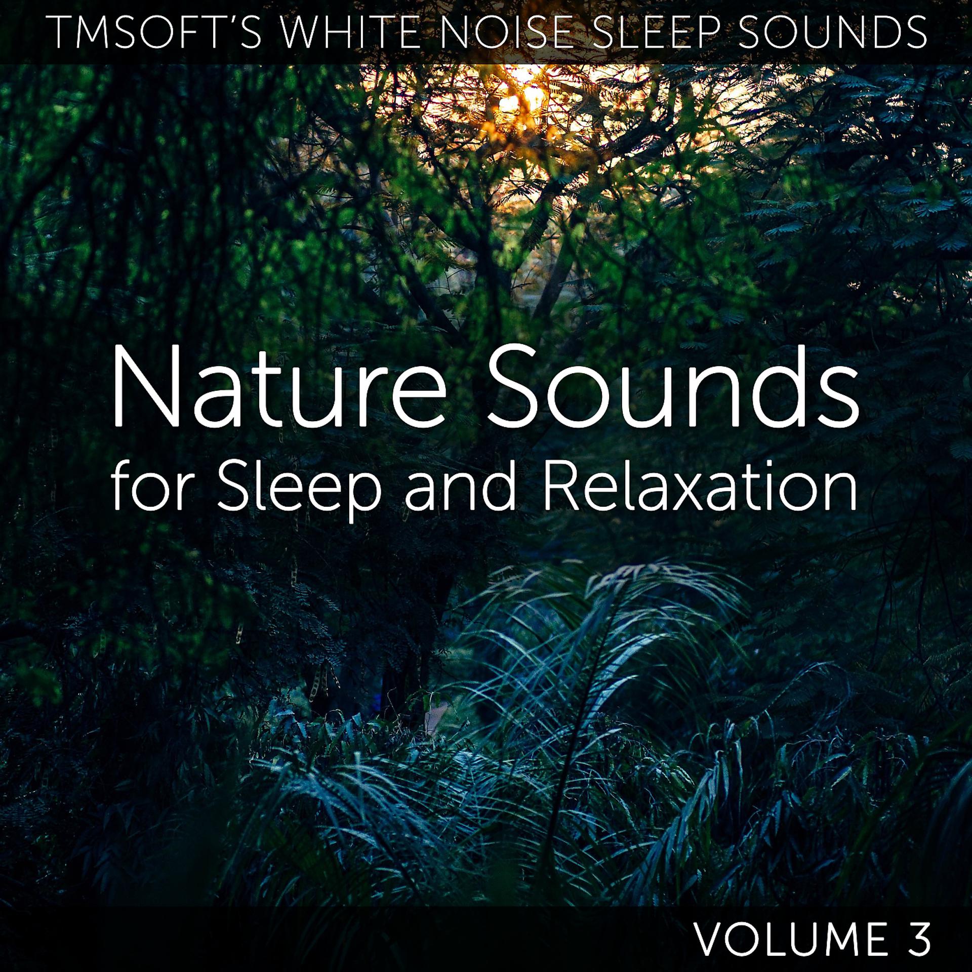 Постер альбома Nature Sounds for Sleep and Relaxation Volume 3
