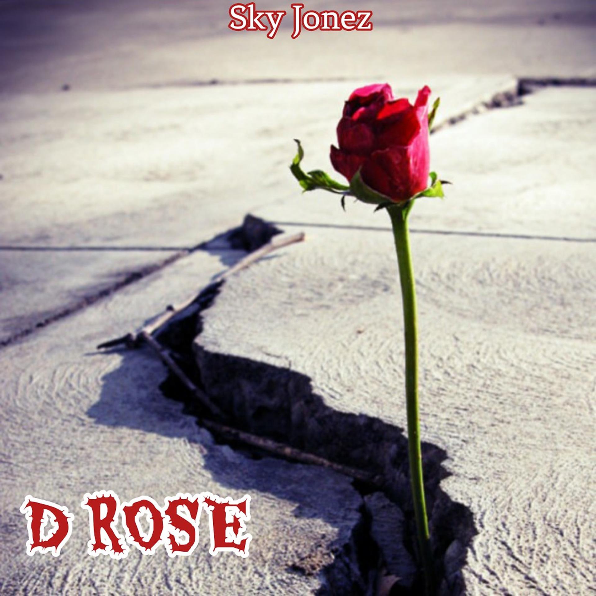 Постер альбома D Rose