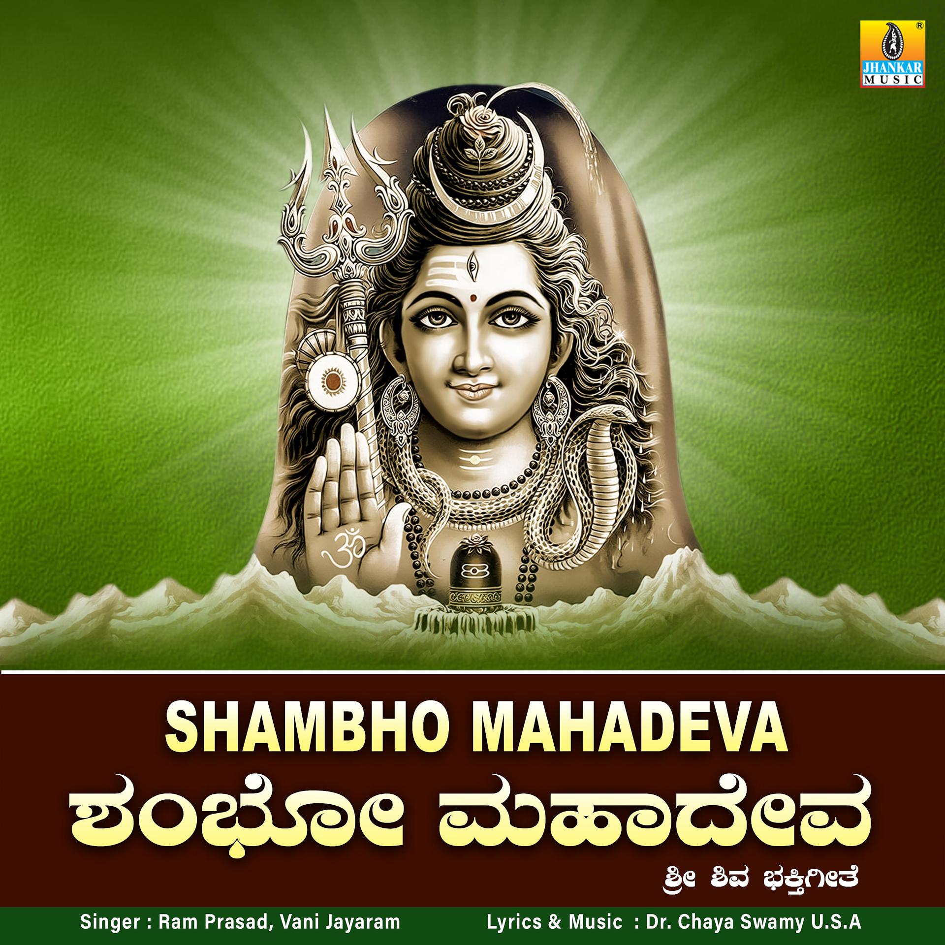 Постер альбома Shambho Mahadeva - Single