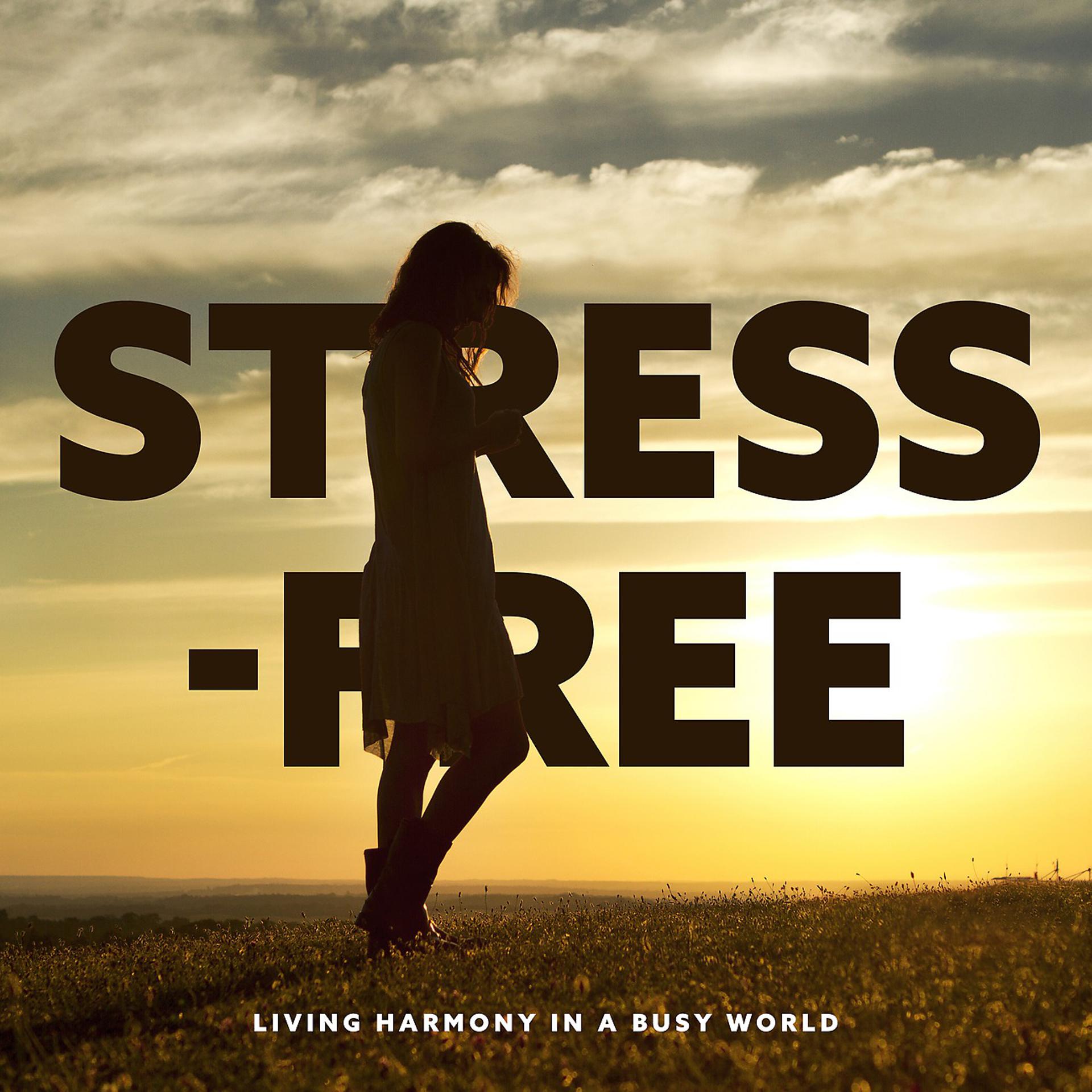 Постер альбома Stress-free