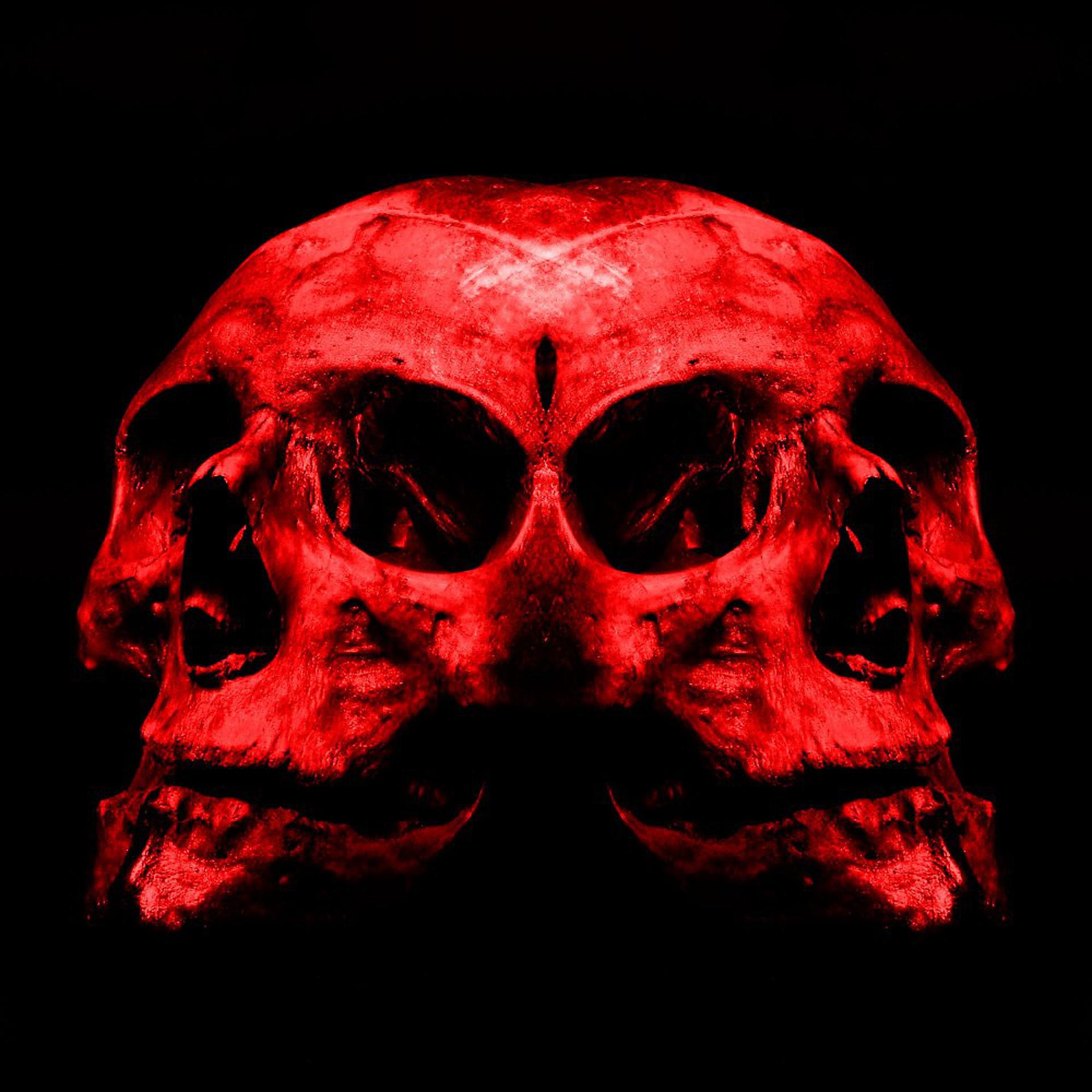 Постер альбома Punisher (Summer of Haze Remix)