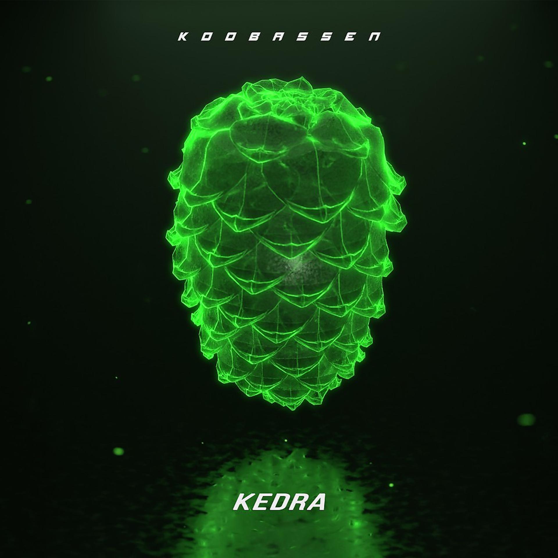Постер альбома Kedra