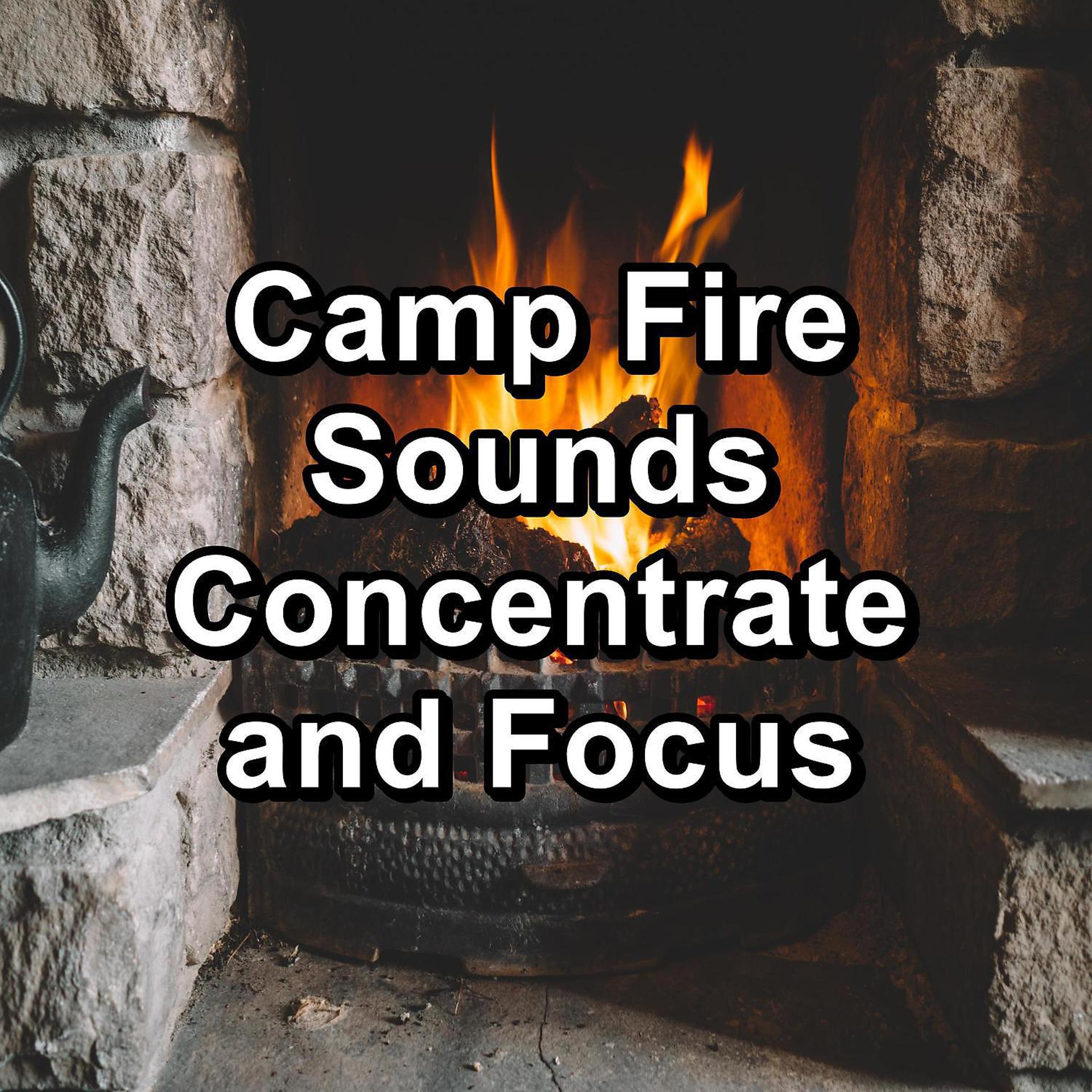 Постер альбома Camp Fire Sounds Concentrate and Focus