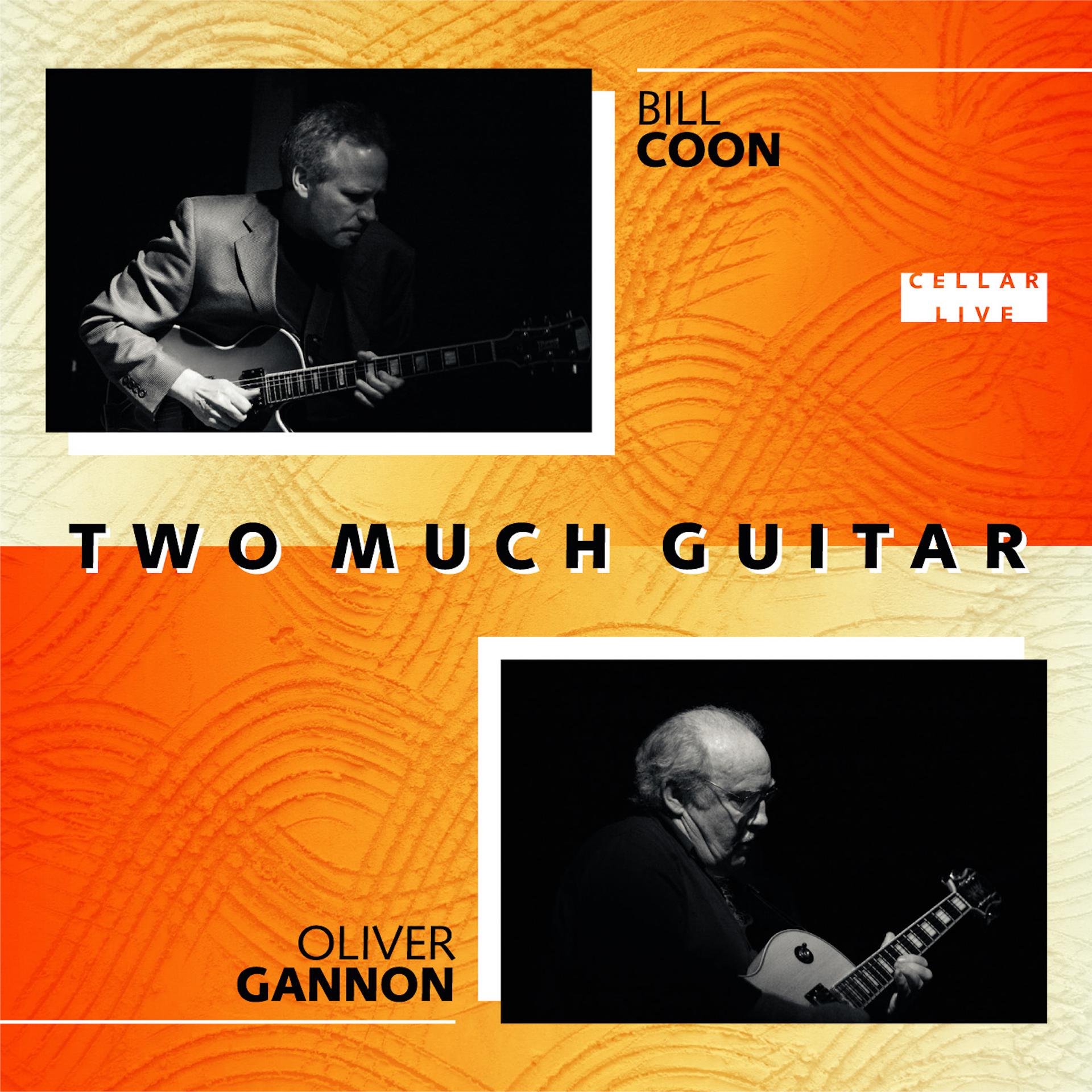 Постер альбома Two Much Guitar