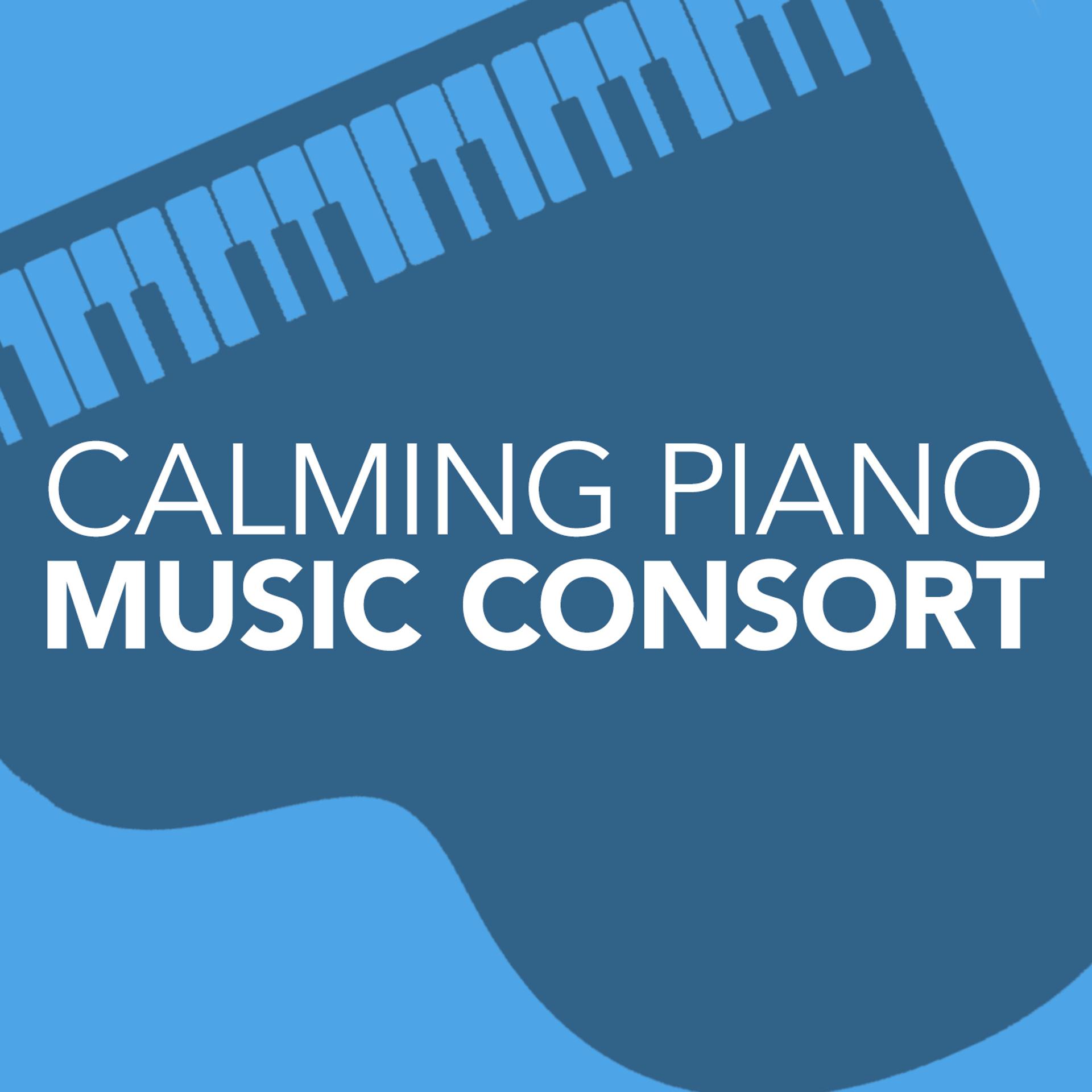 Постер альбома Calming Piano Music Consort