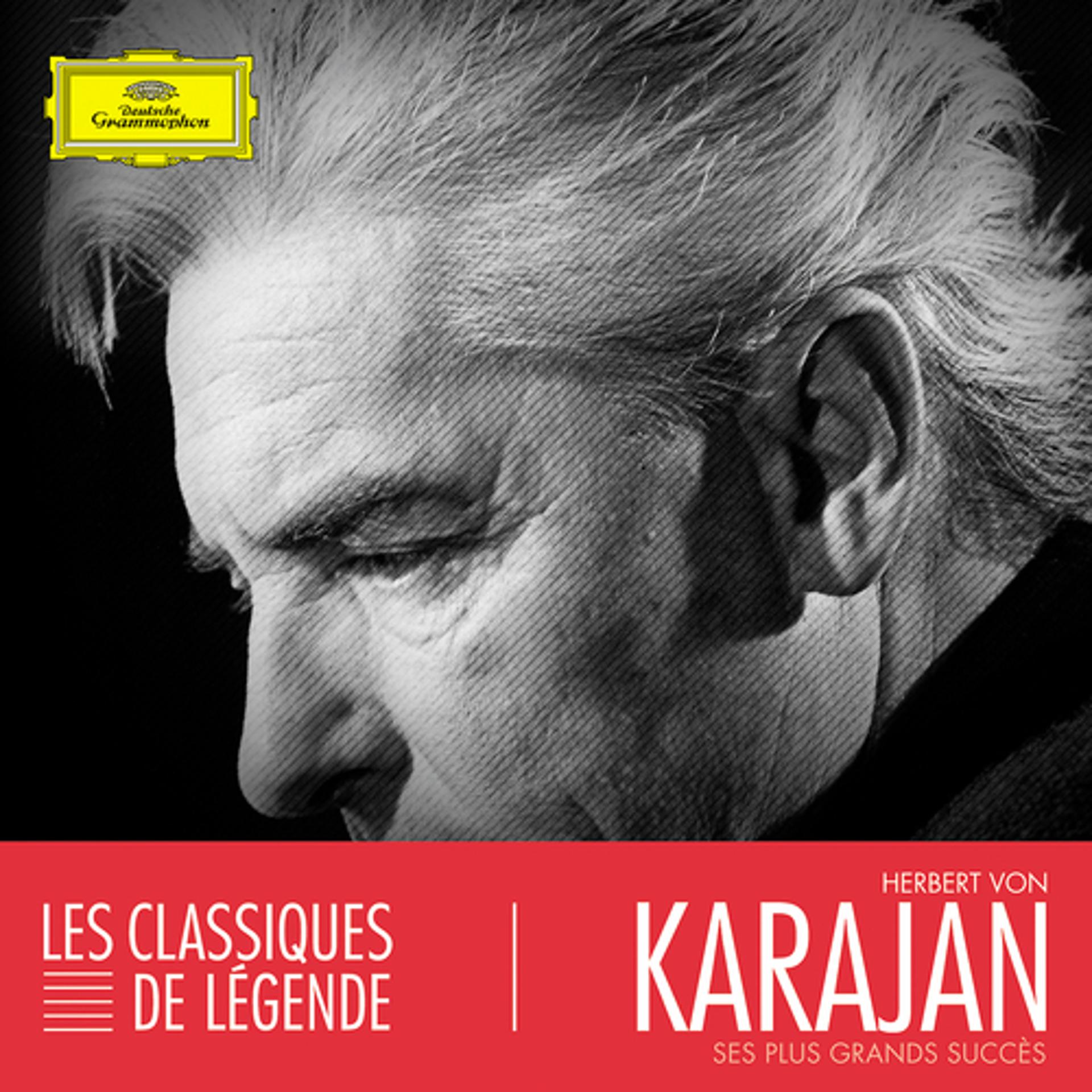Постер альбома Herbert von Karajan