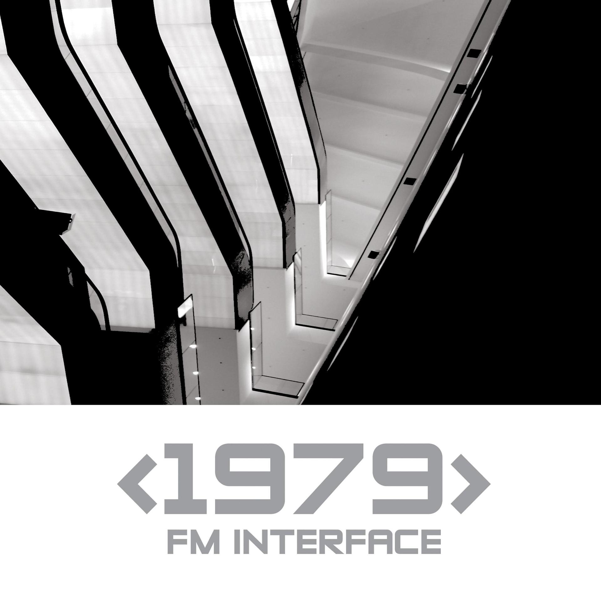 Постер альбома FM Interface