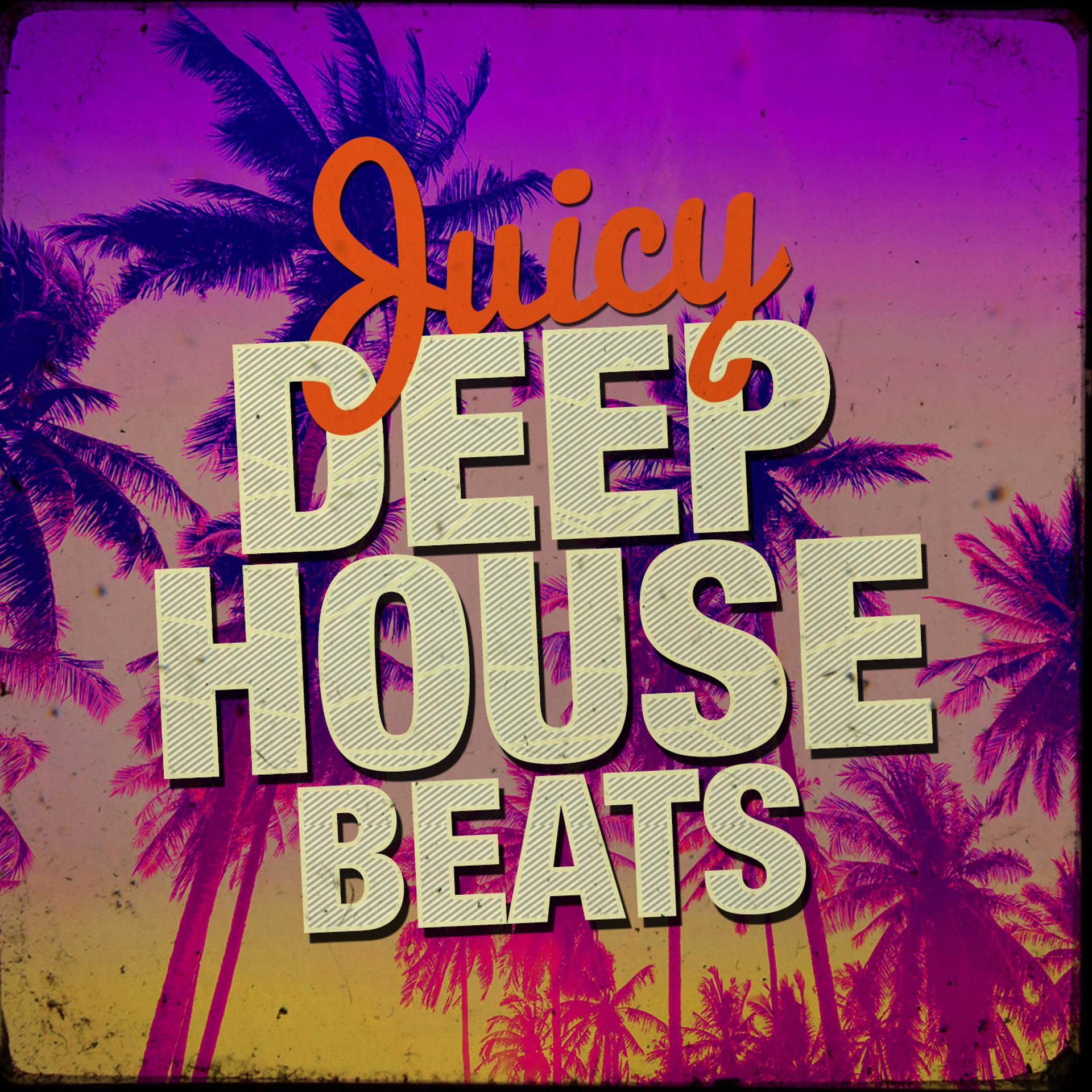 Постер альбома Juicy Deep House Beats