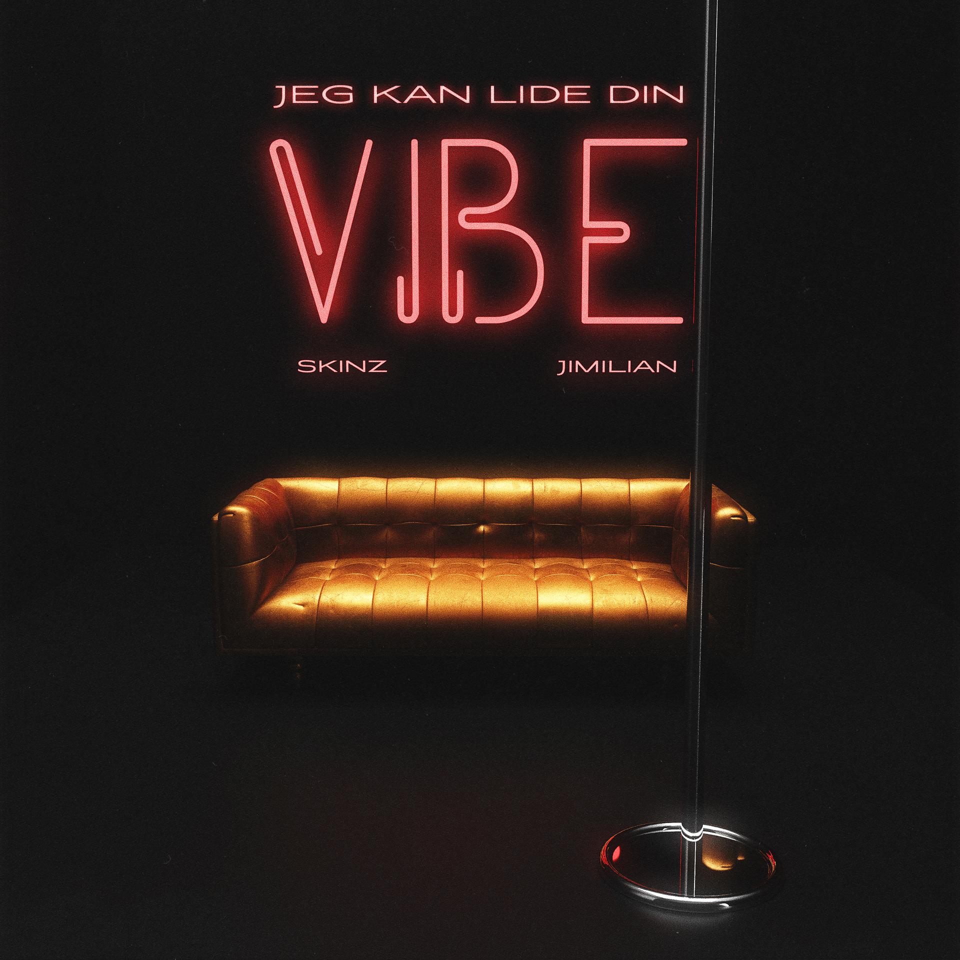 Постер альбома Jeg Kan Lide Din Vibe (feat. Jimilian)