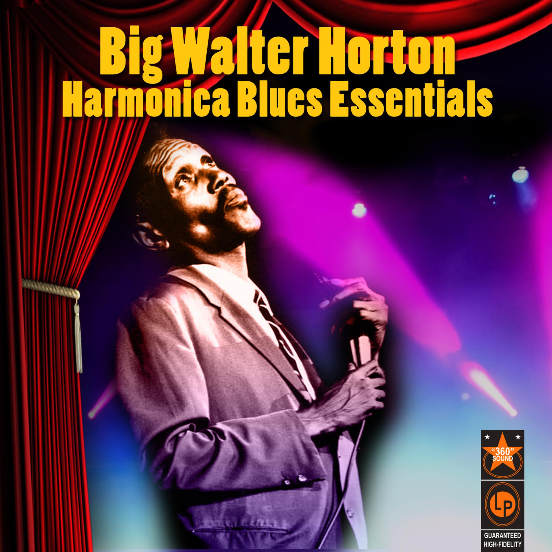 Постер альбома Harmonica Blues Essentials