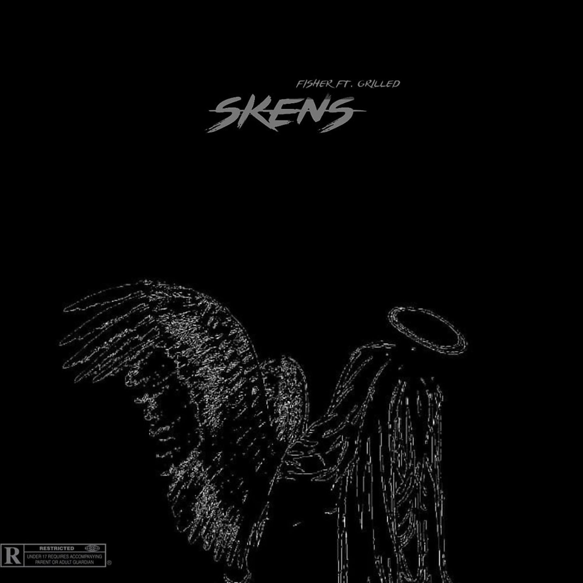 Постер альбома Skens