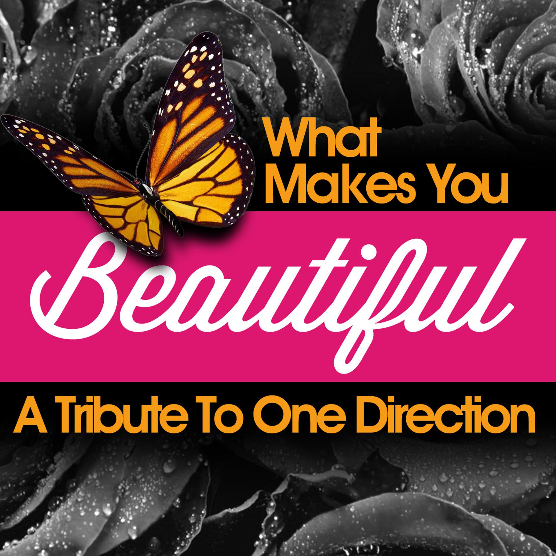 Постер альбома What Makes You Beautiful - A Tribute to One Direction