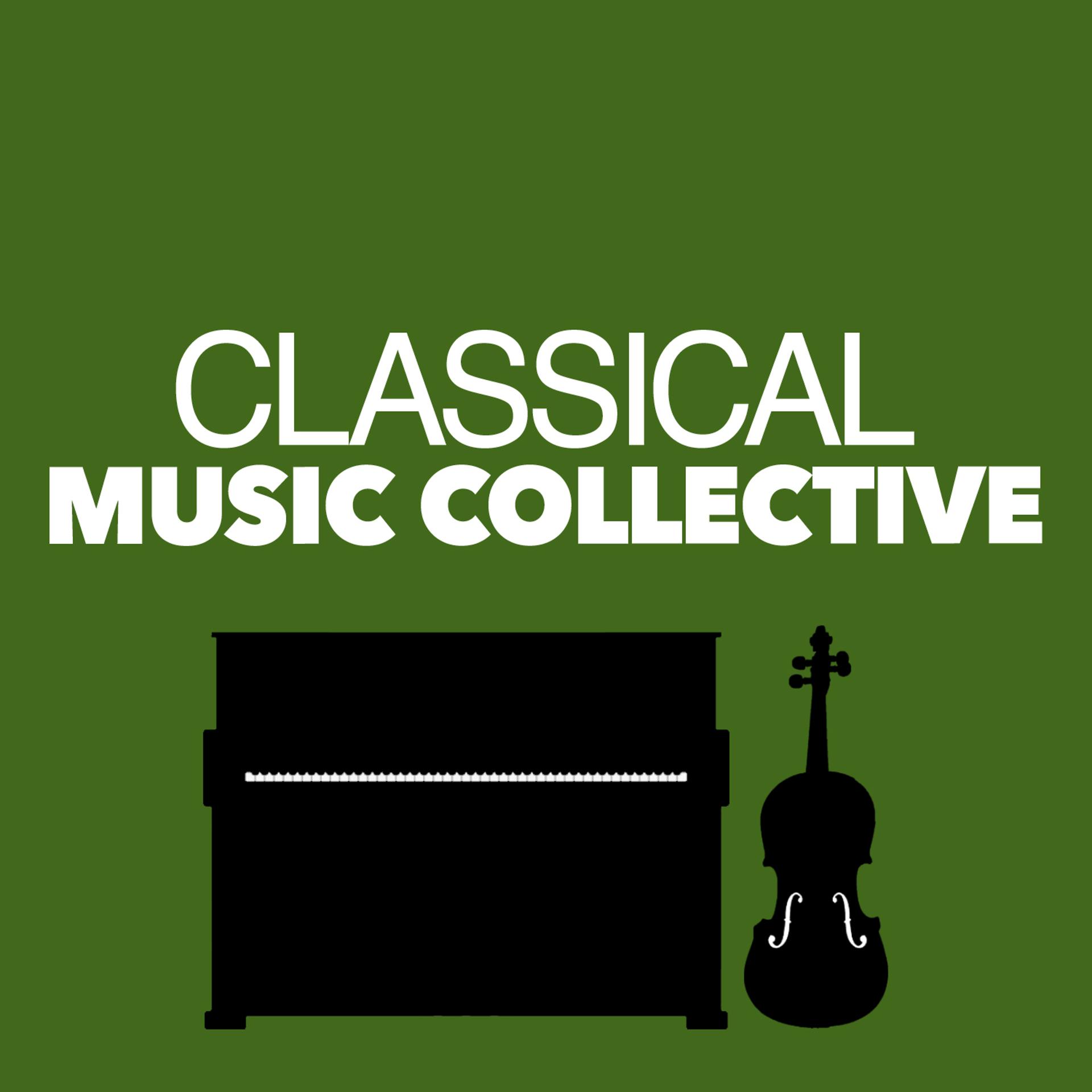Постер альбома Classical Music Collective