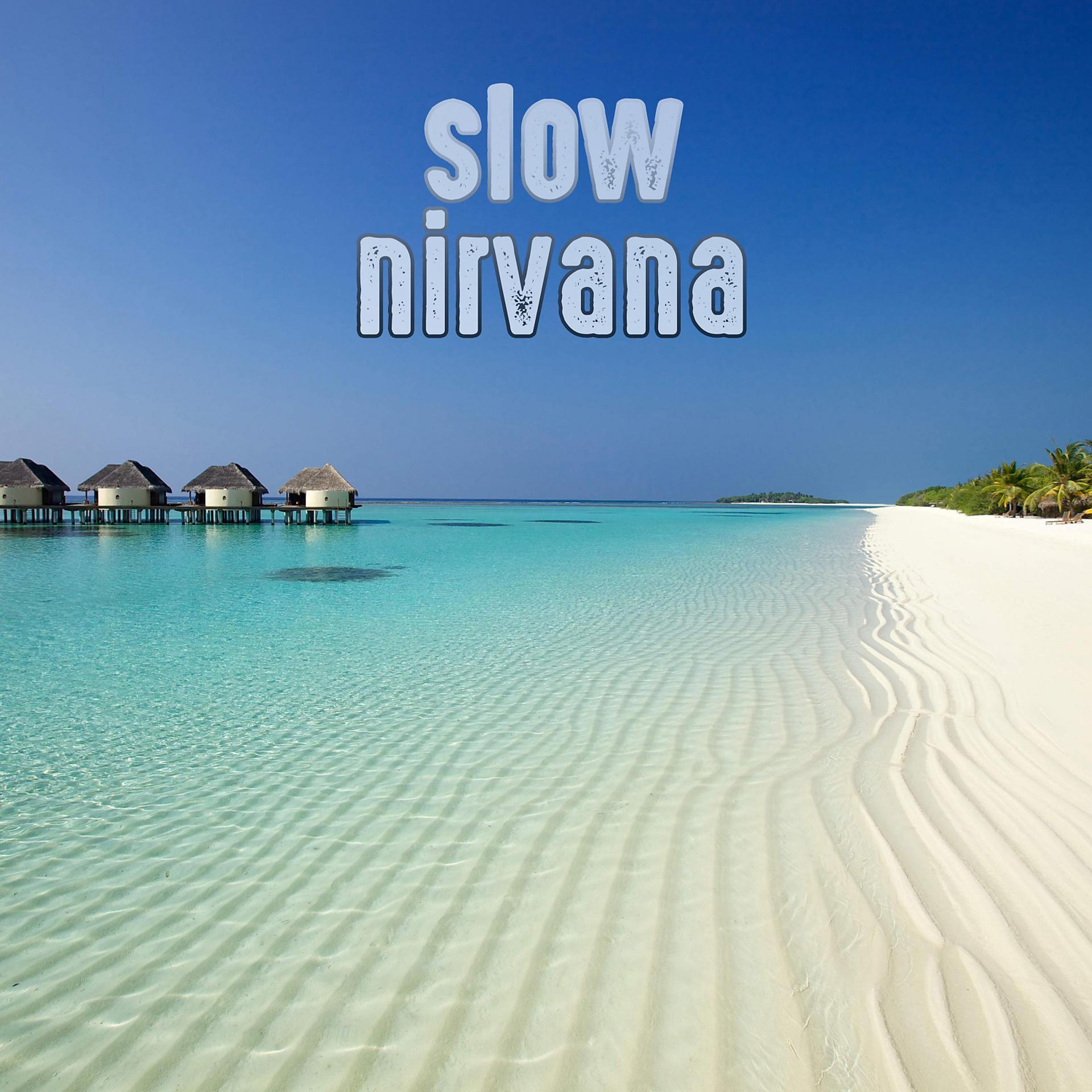 Постер альбома Slow Nirvana